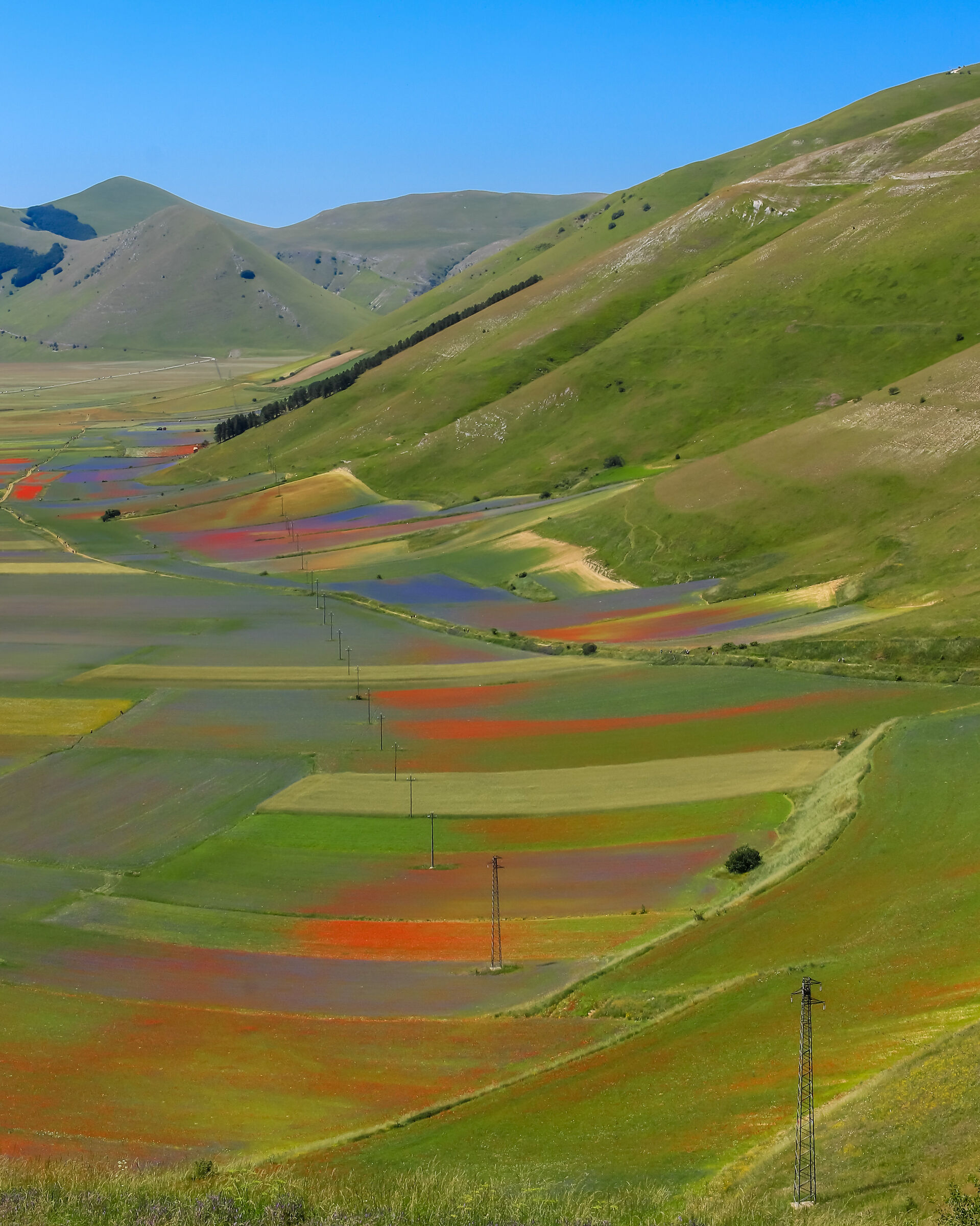 Castelluccio Plain 3