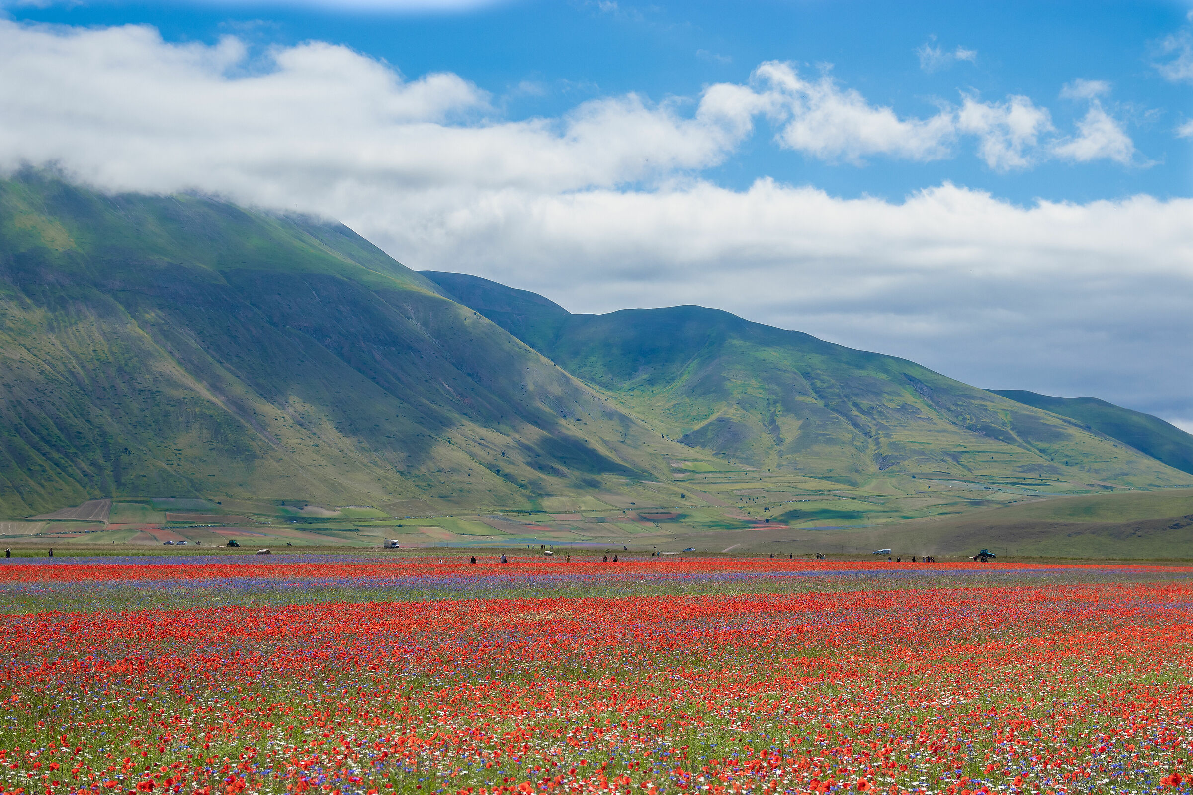 Castelluccio Plain 4