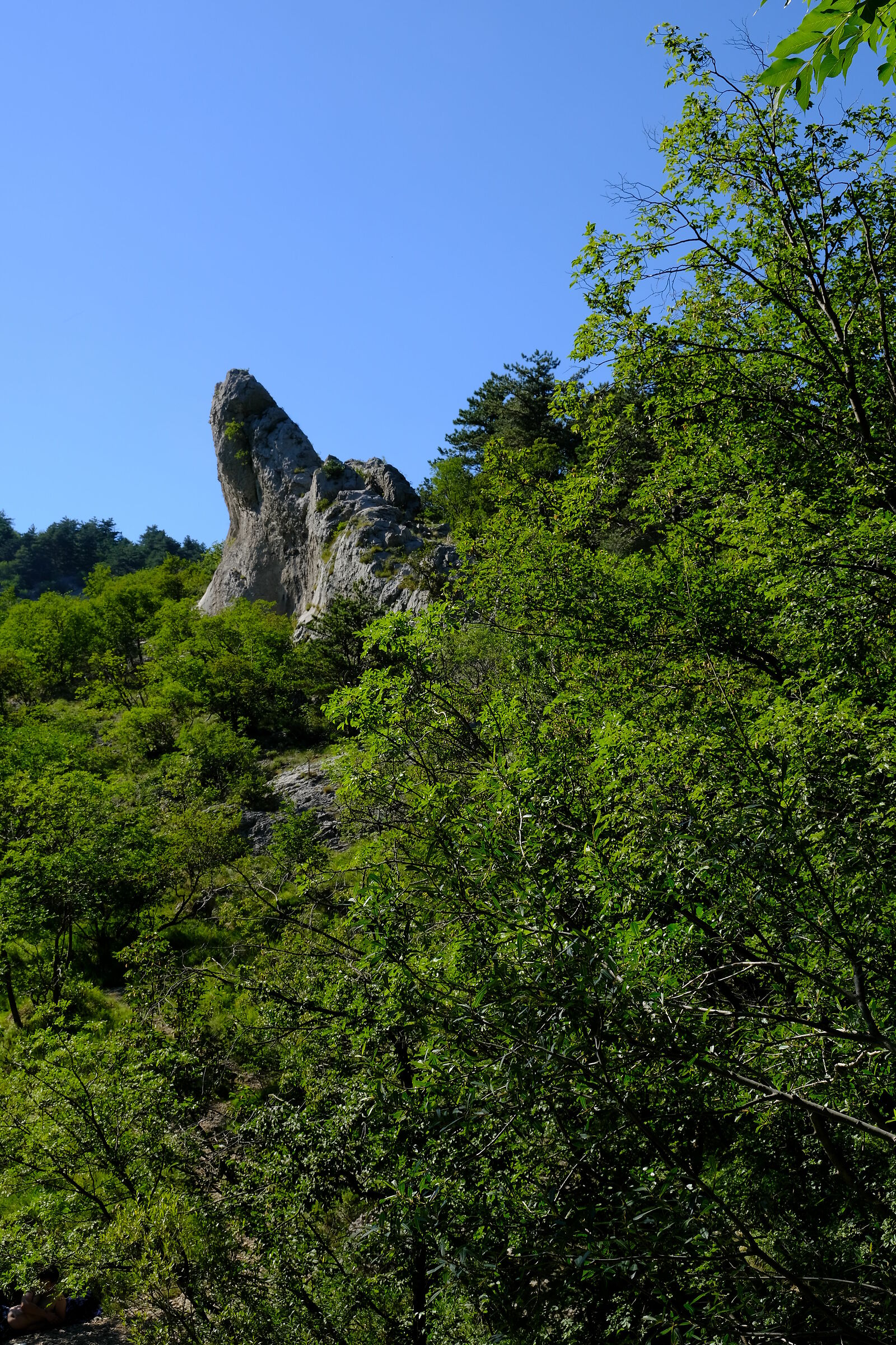 In valle