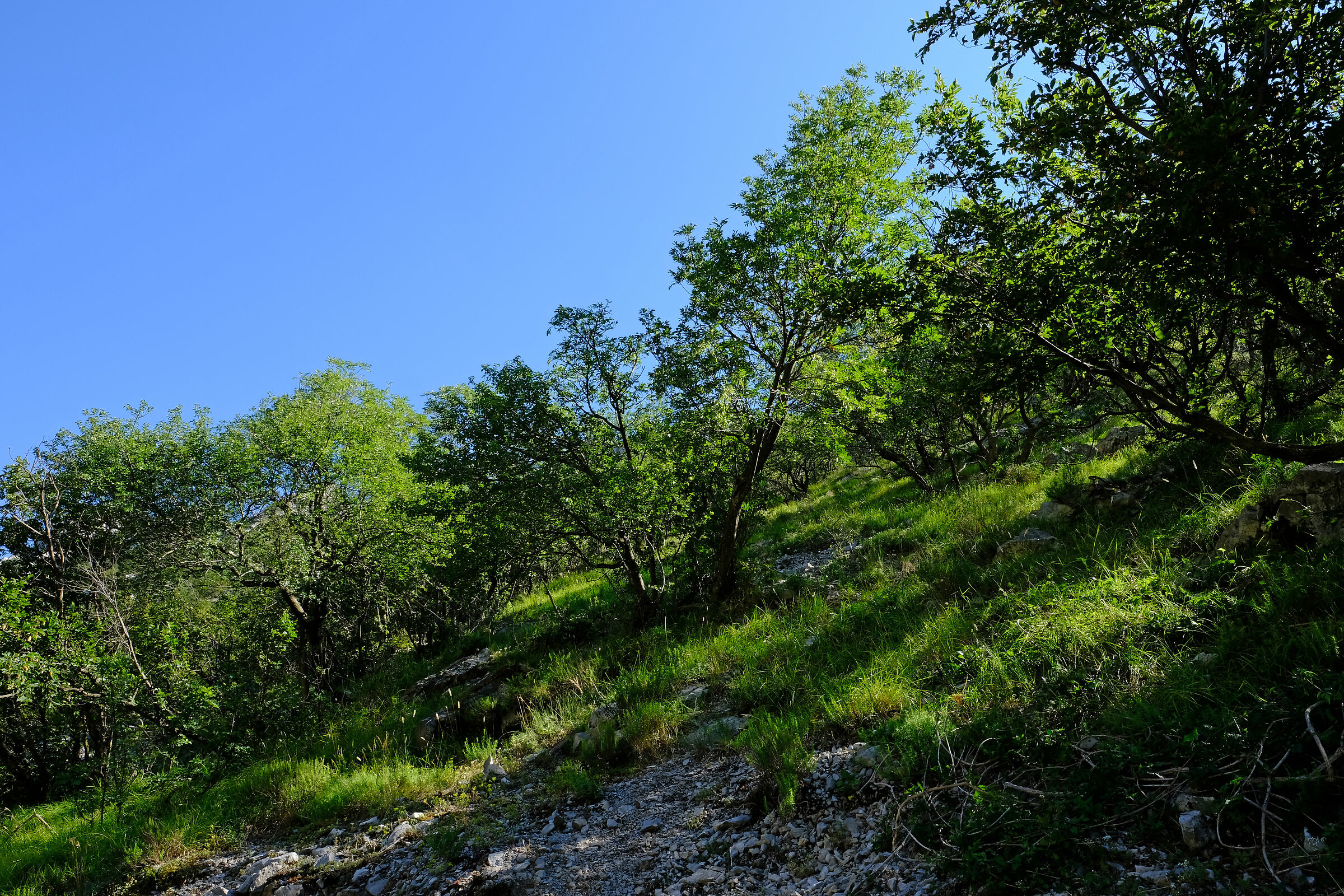 In valle 2