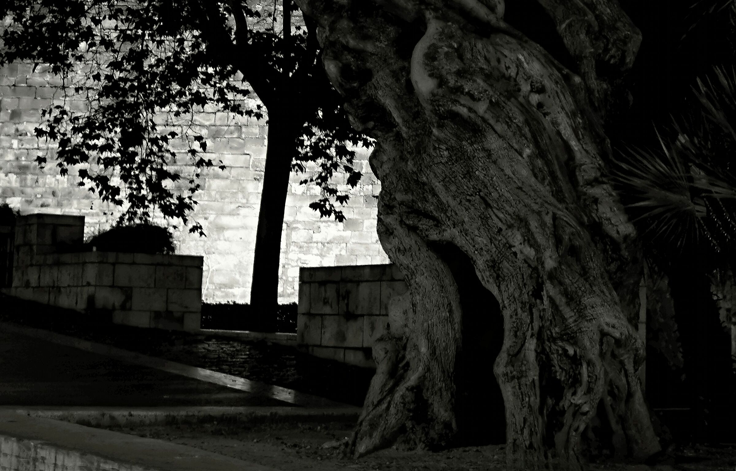 L'urlo di Madre Natura …