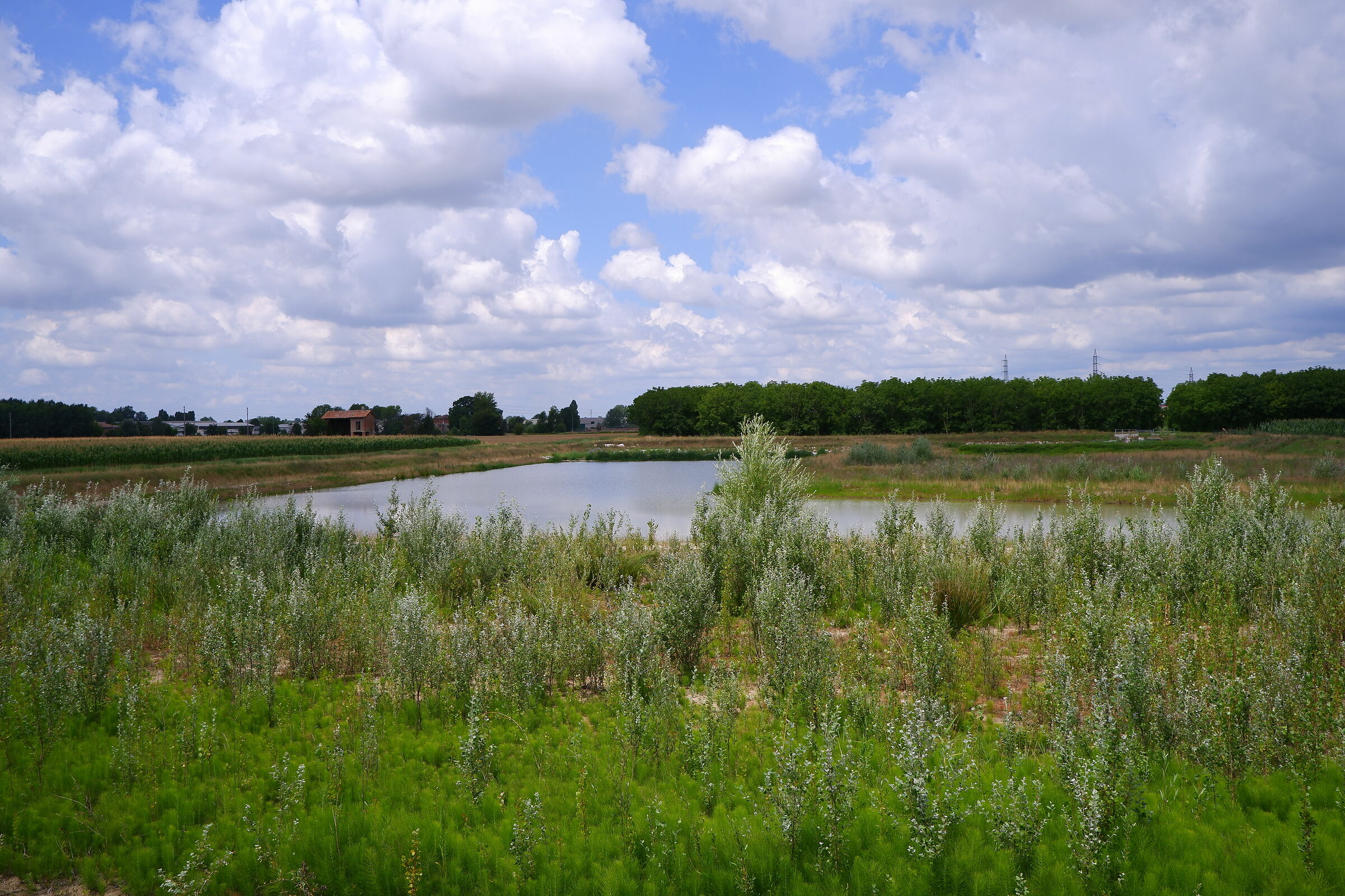 Fuji X-T200 test to the channel