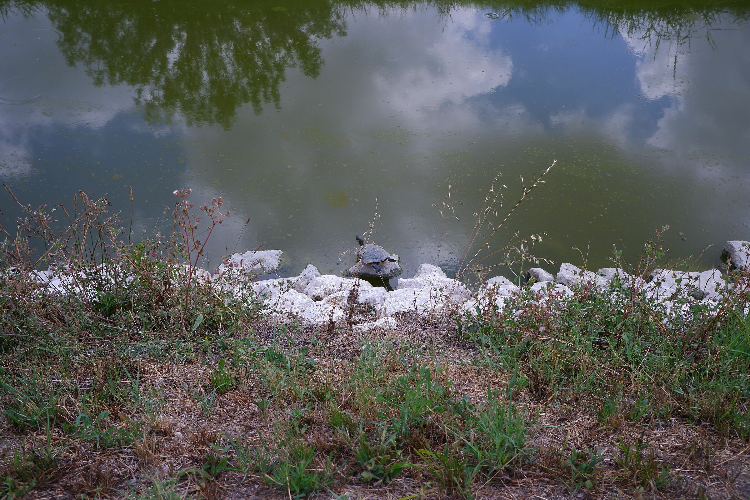 Fuji X-T200 test to the channel