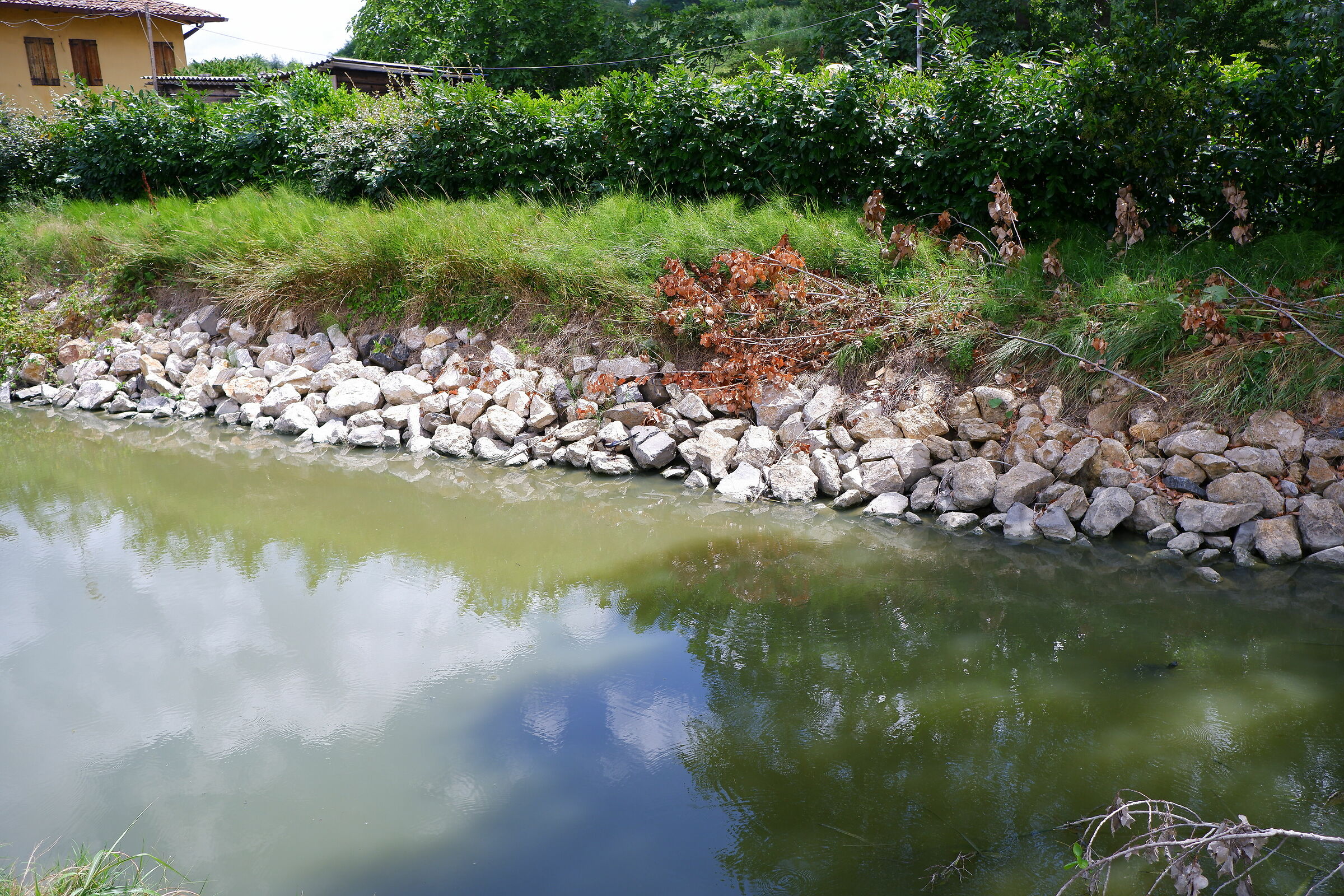 Fuji X-T200 test to the channel