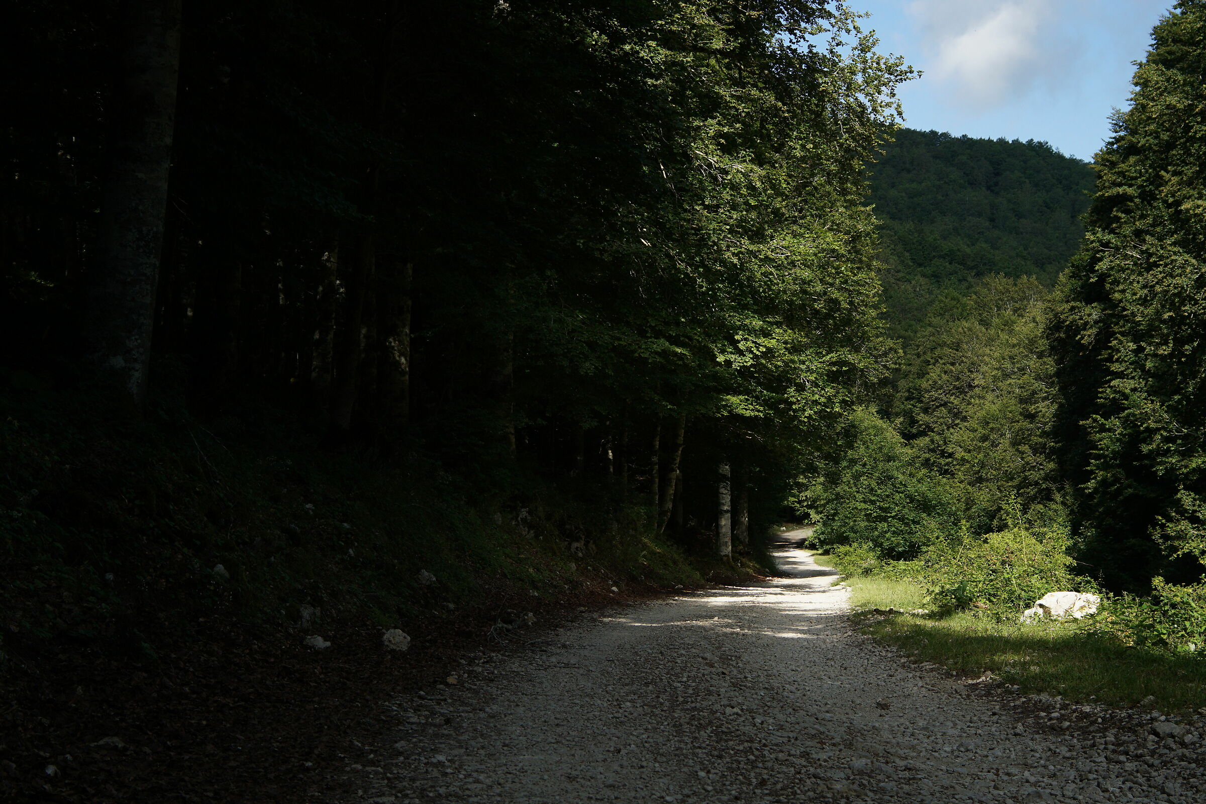 Verso la Valle della Dogana
