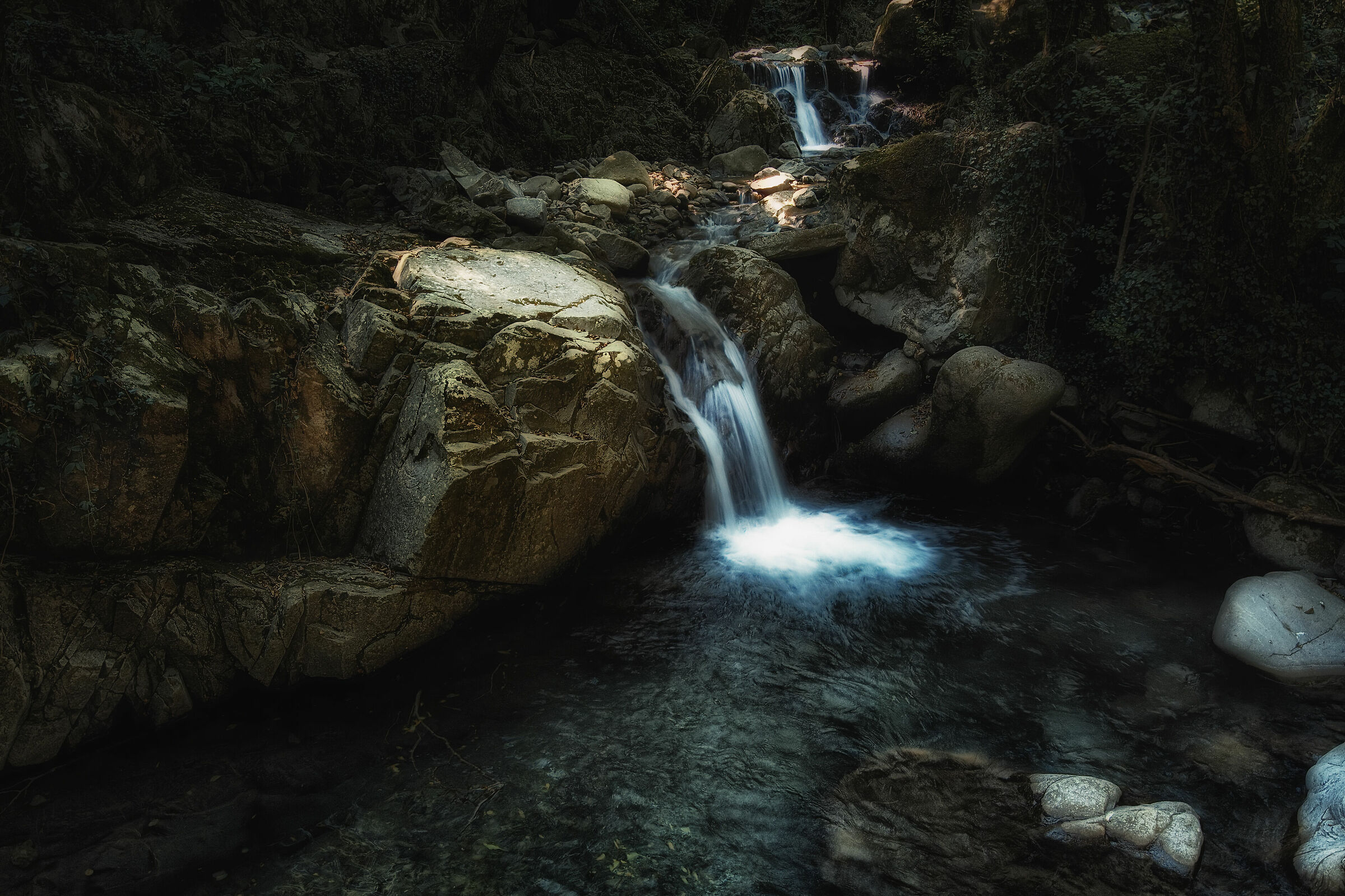 Untitled Photo