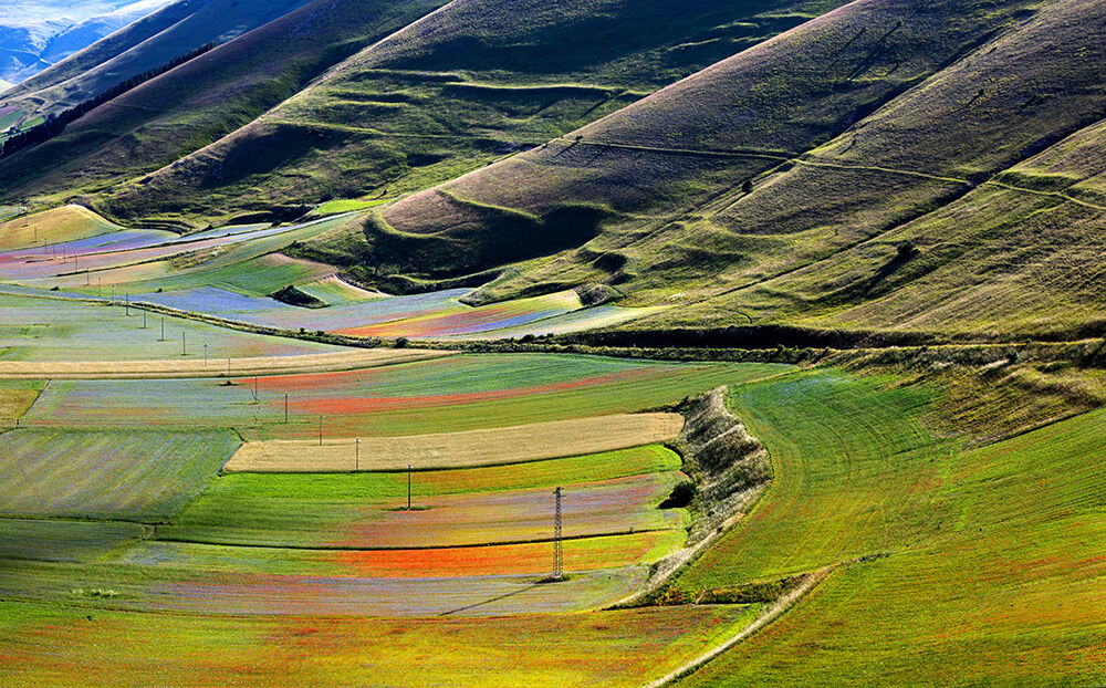 Fioritura Castelluccio di Norcia