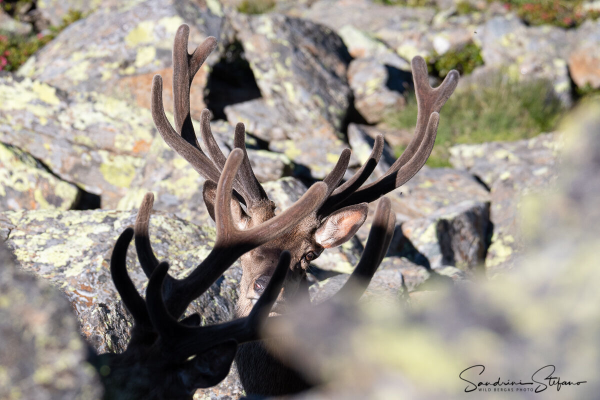 Move that I don't see!!