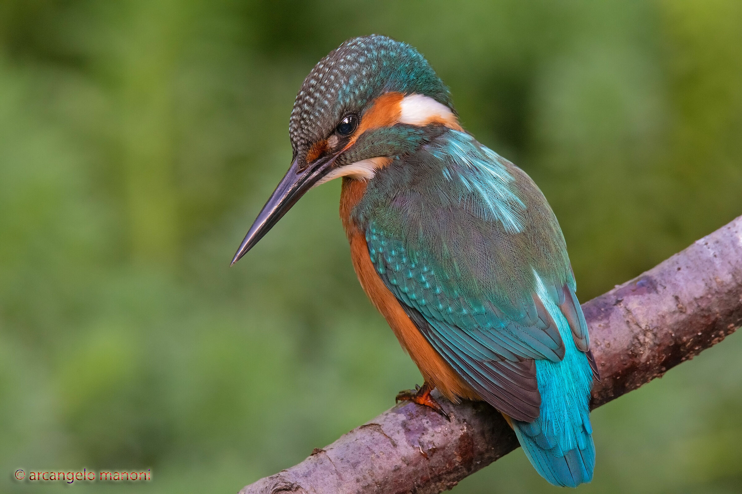 The number one of the creek