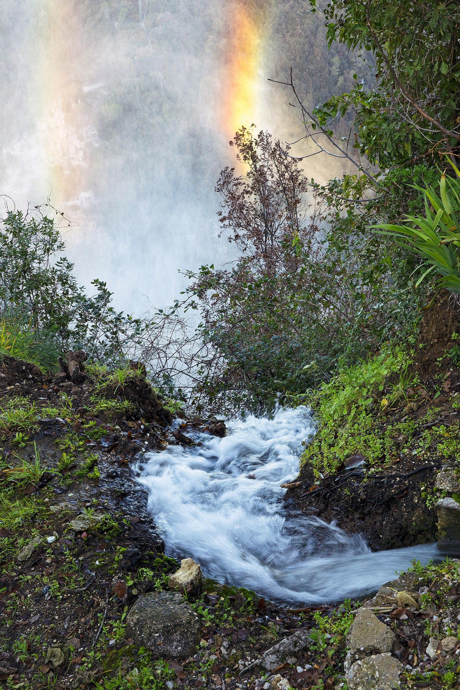 A view from the top of the waterfall
