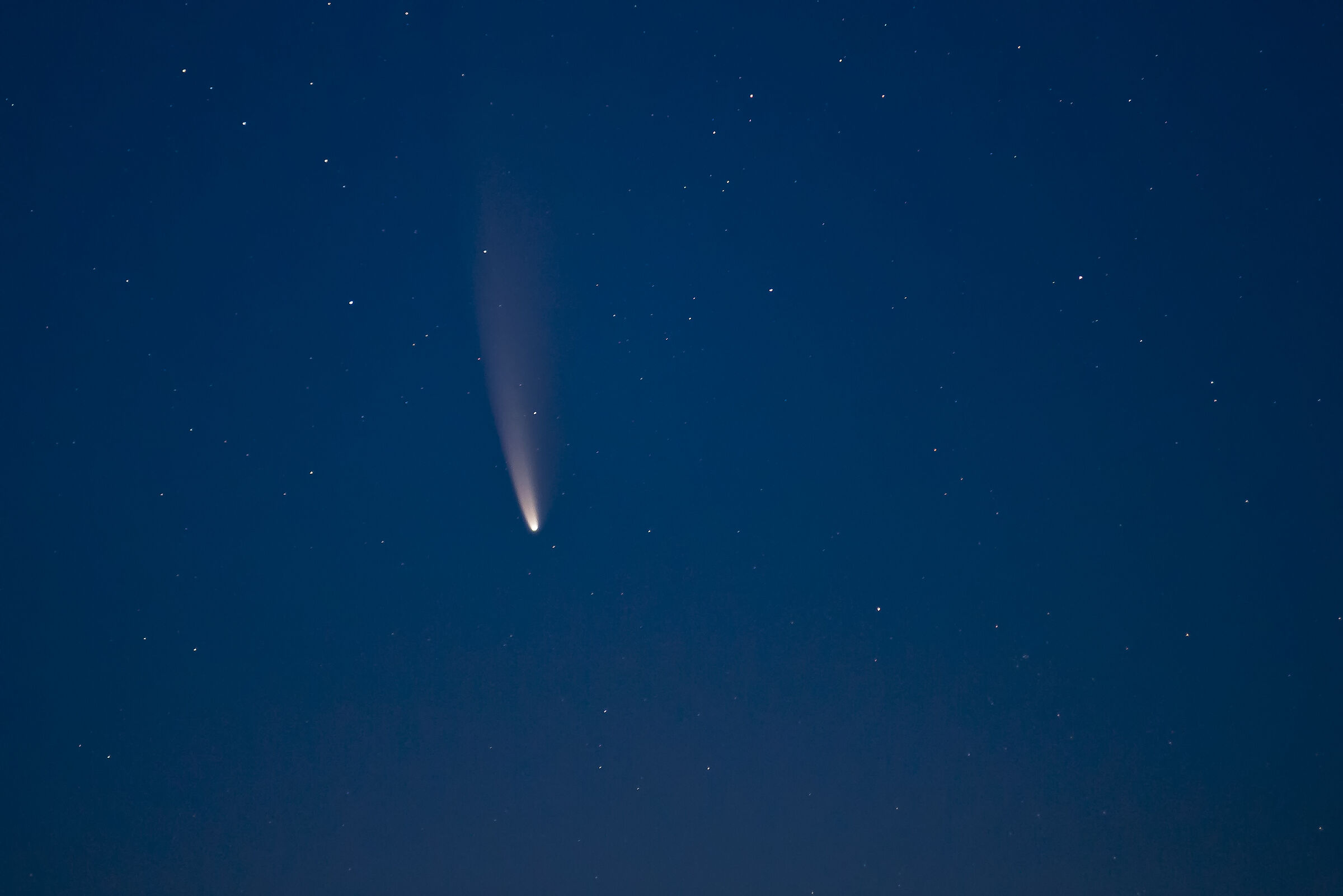neowise comet