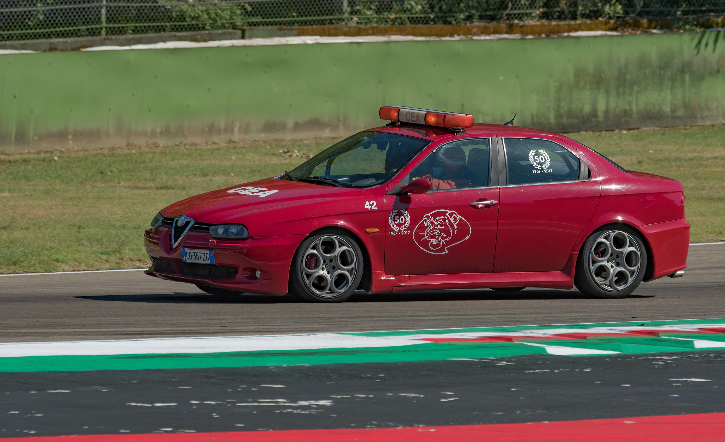 The Lions of the Cea