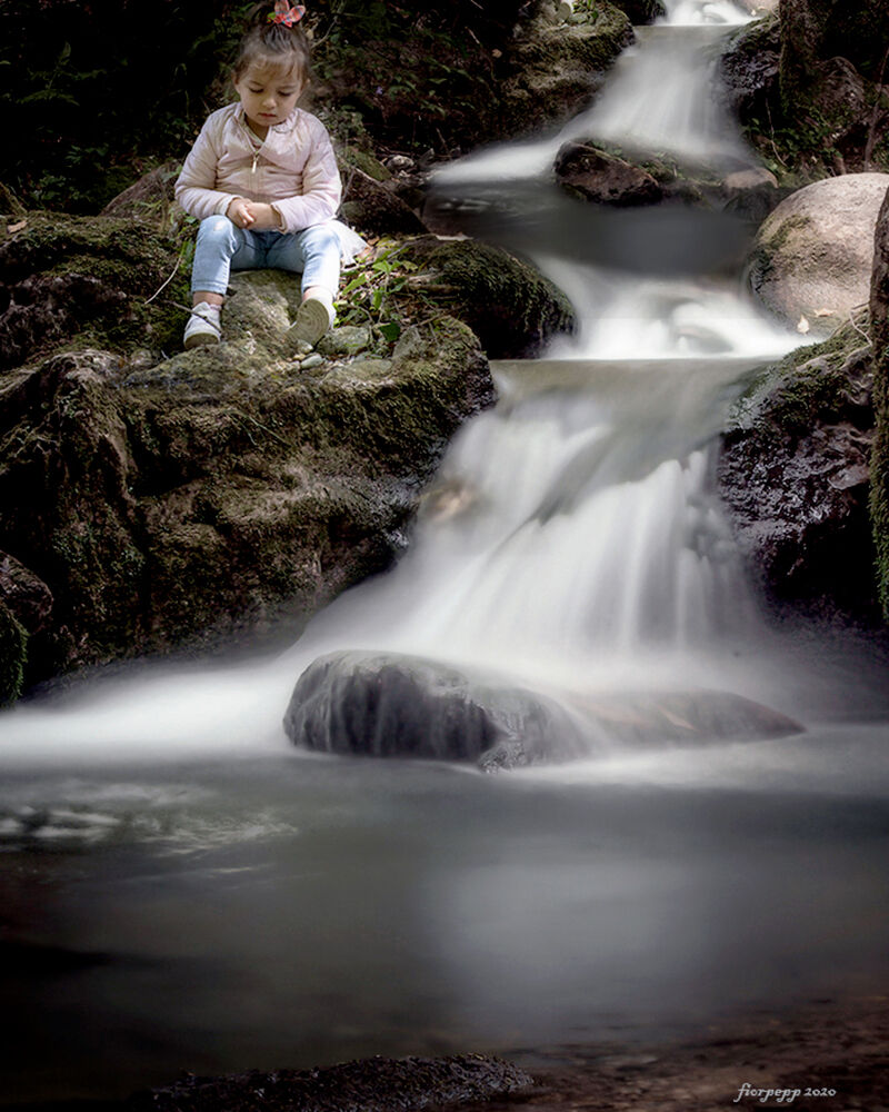 Osservando la natura...