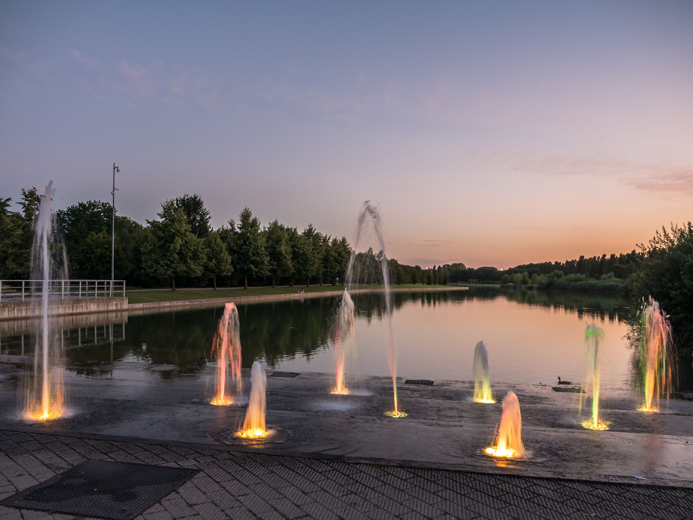 North Park pond - Milan