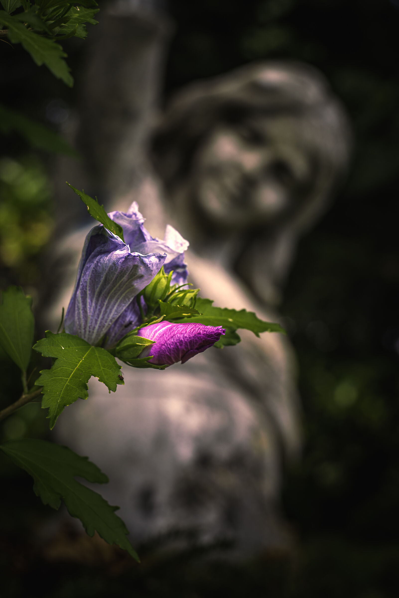 Looking at the flower