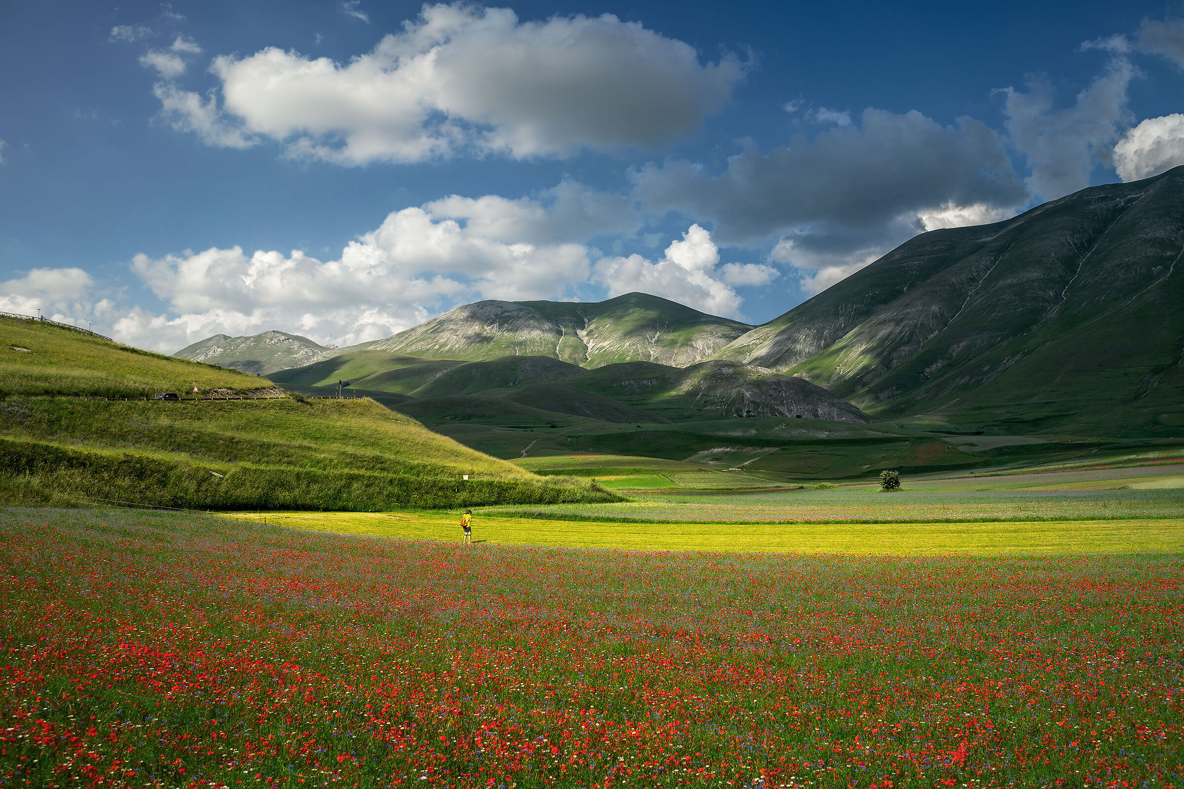 Piane di Castelluccio 2020