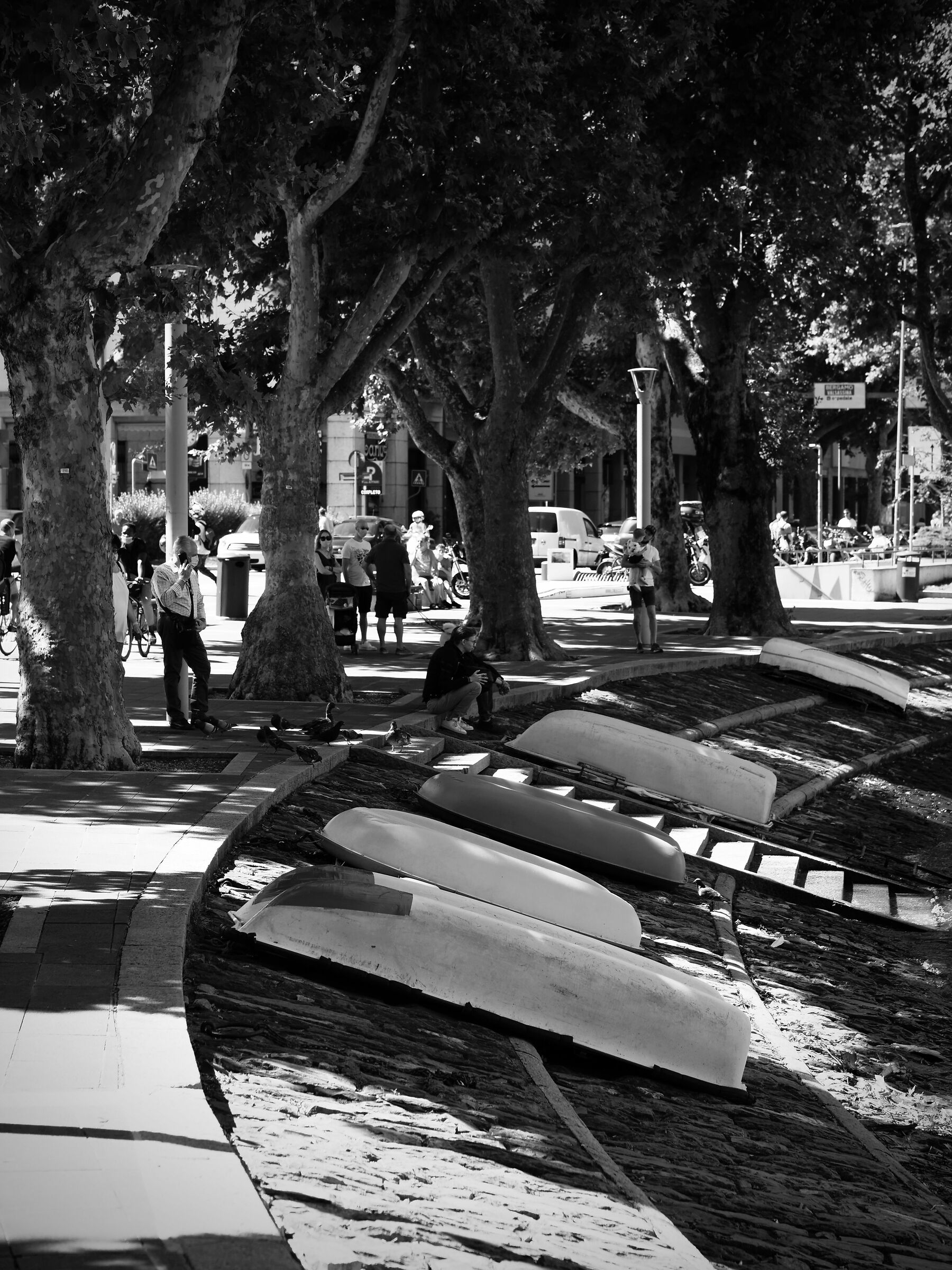 Snapshots on the Branch of Lecco 2