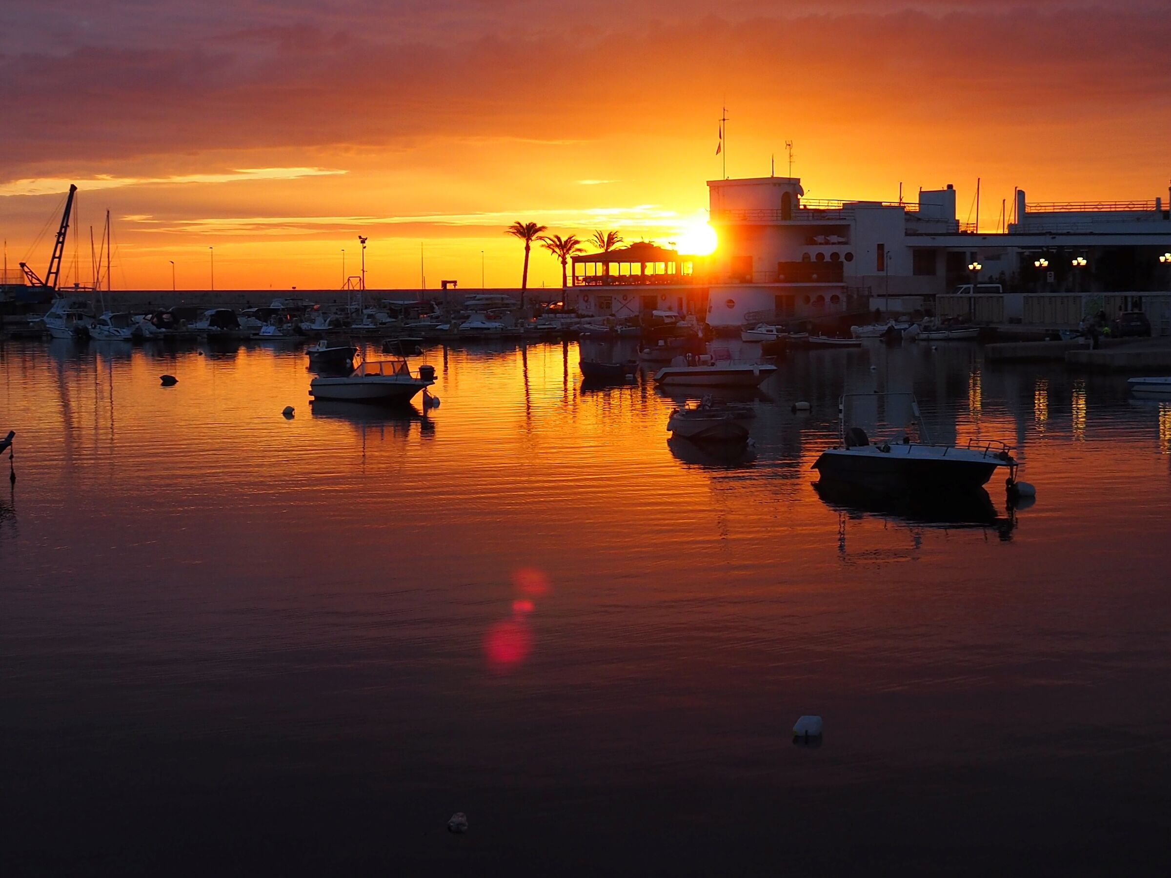 alba rosso tropicale