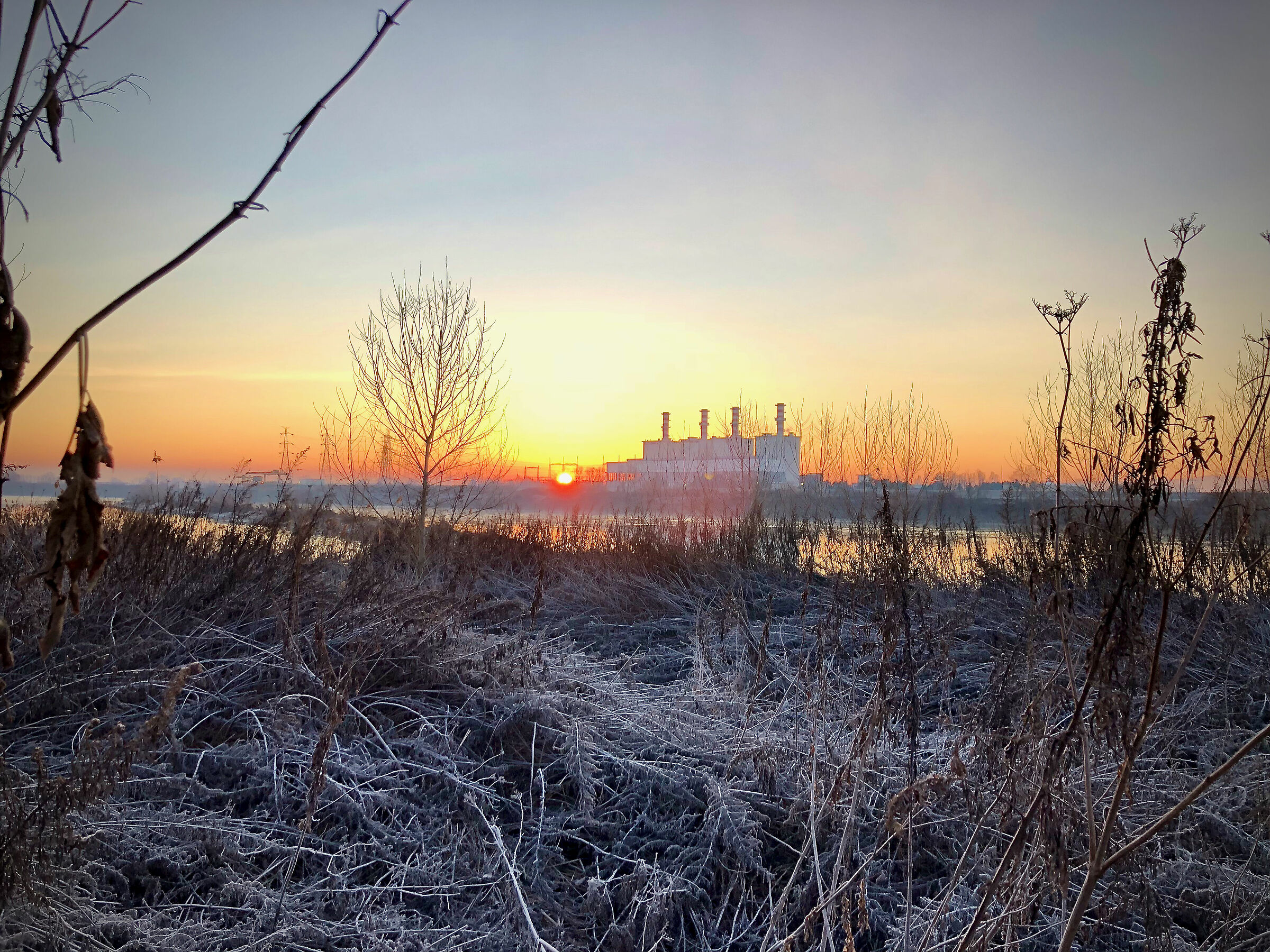 early in the morning