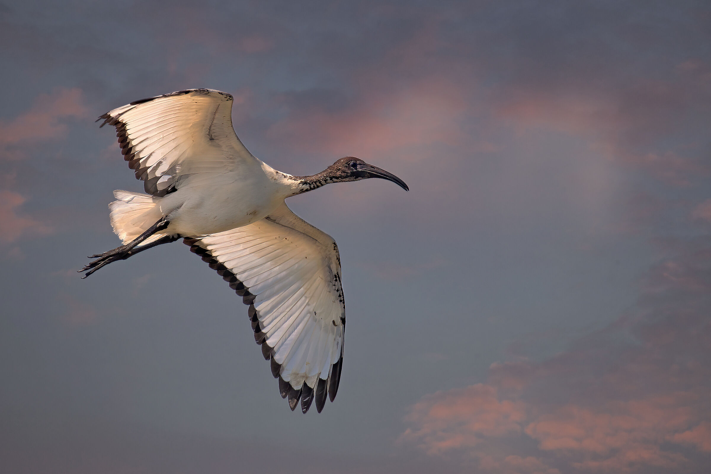 Incontri nel Parco del Mincio (mn)