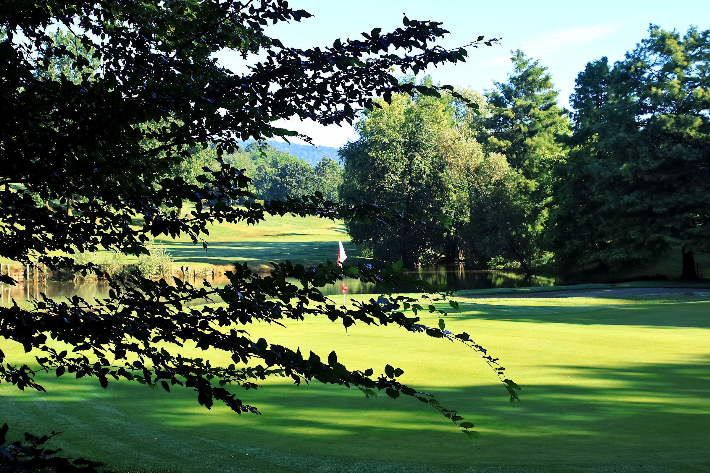 Planet Golf ....