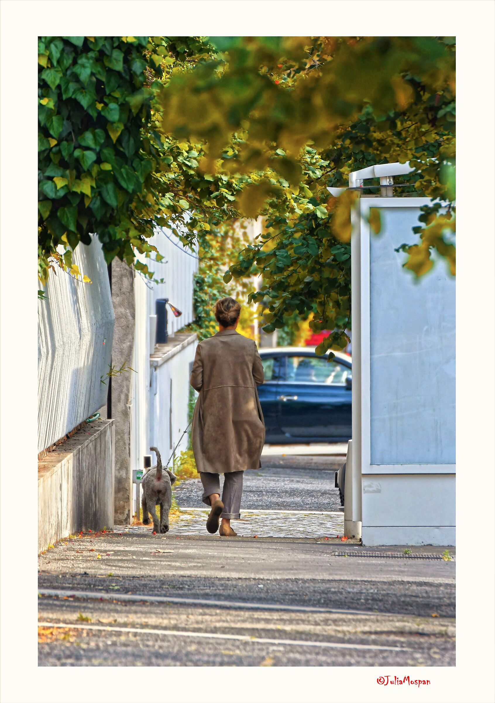 Monteverde Vecchio. Roma