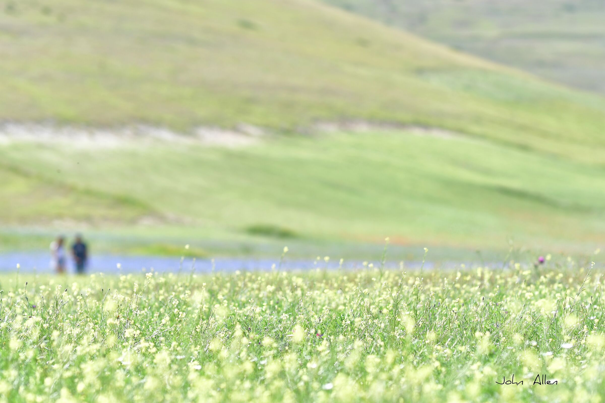 Castelluccio di Norcia