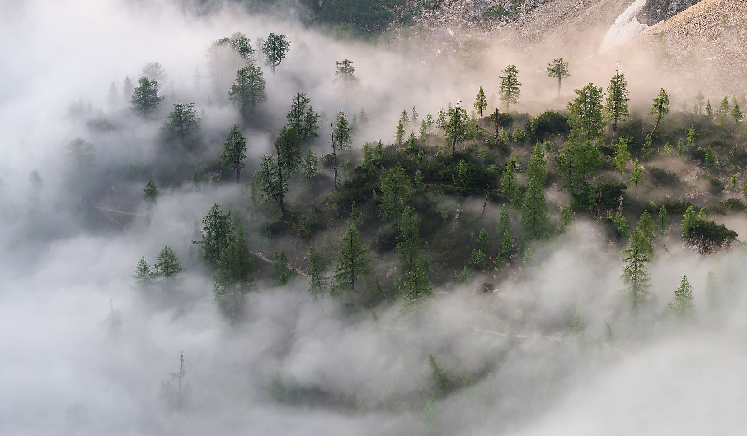 Path through the mist