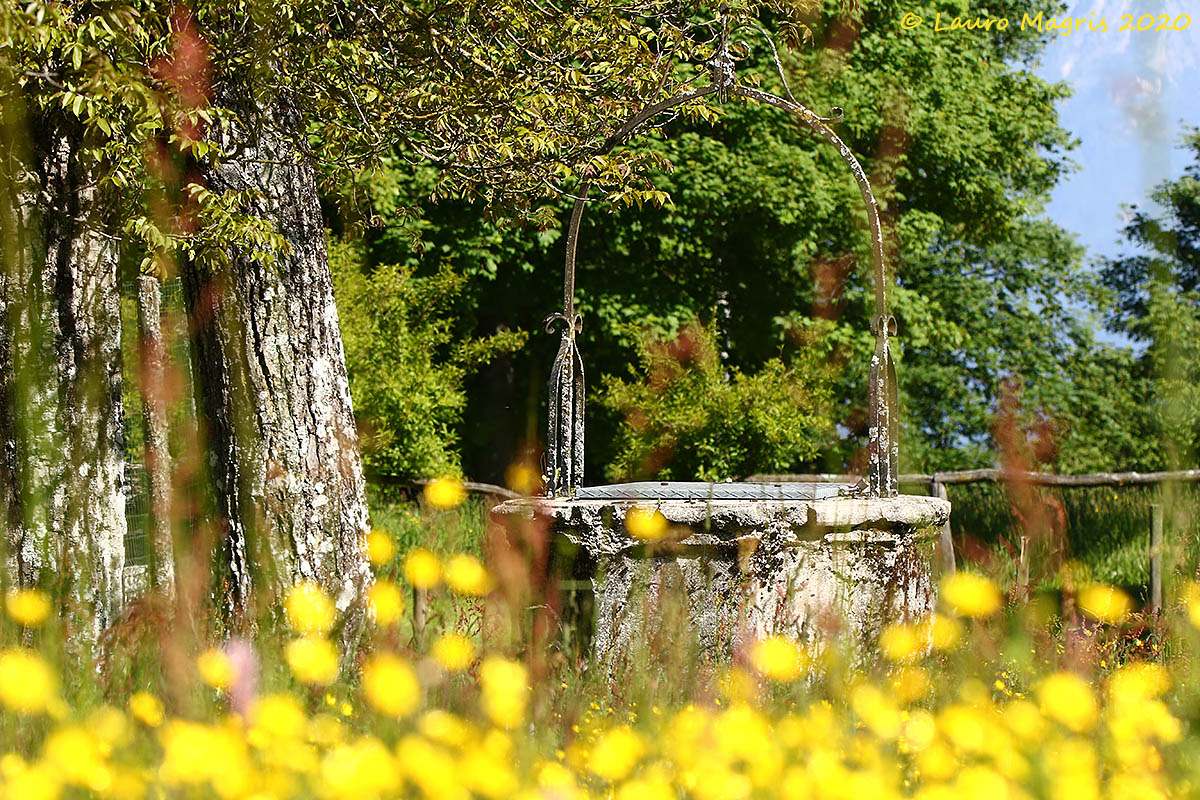 Il pozzo con le monete dorate