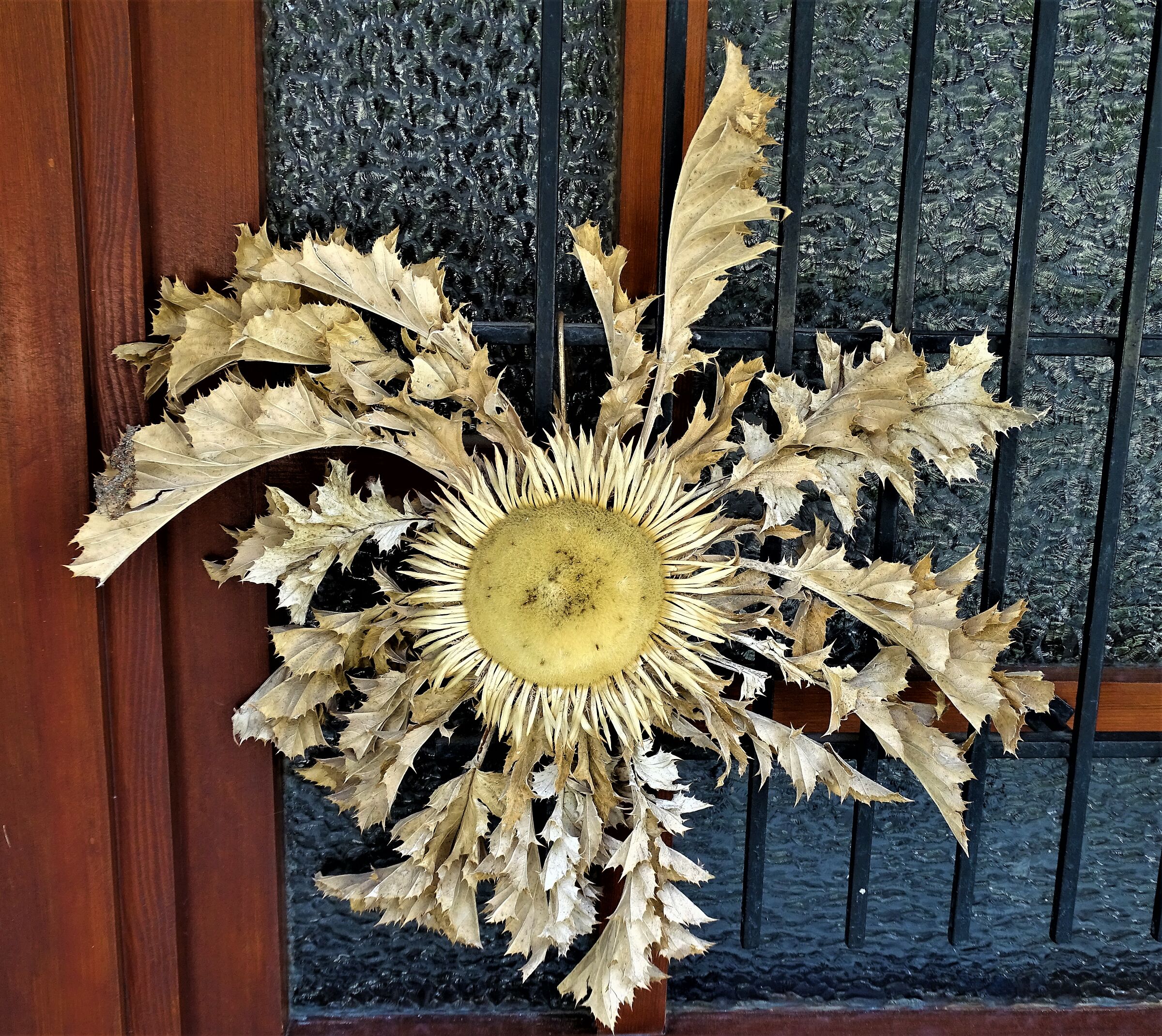 the symbol of the mountain.