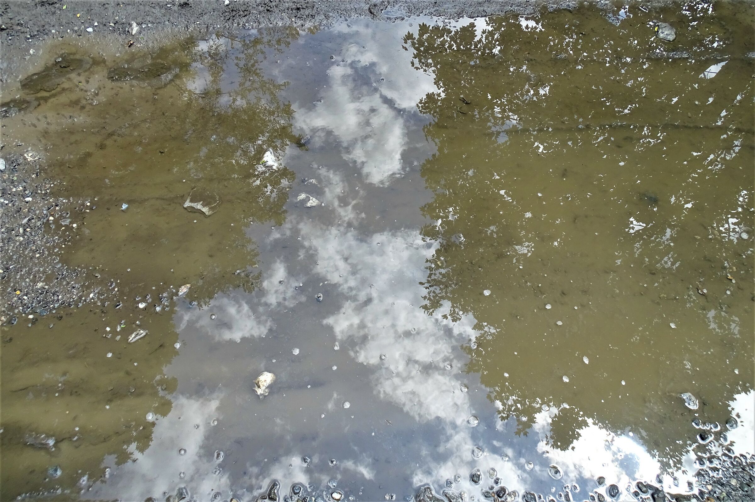 The sky in... A puddle...