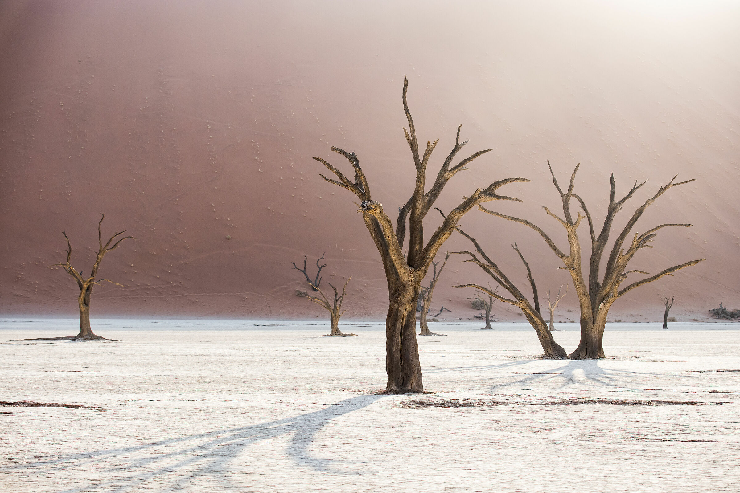 wandering in a painting.