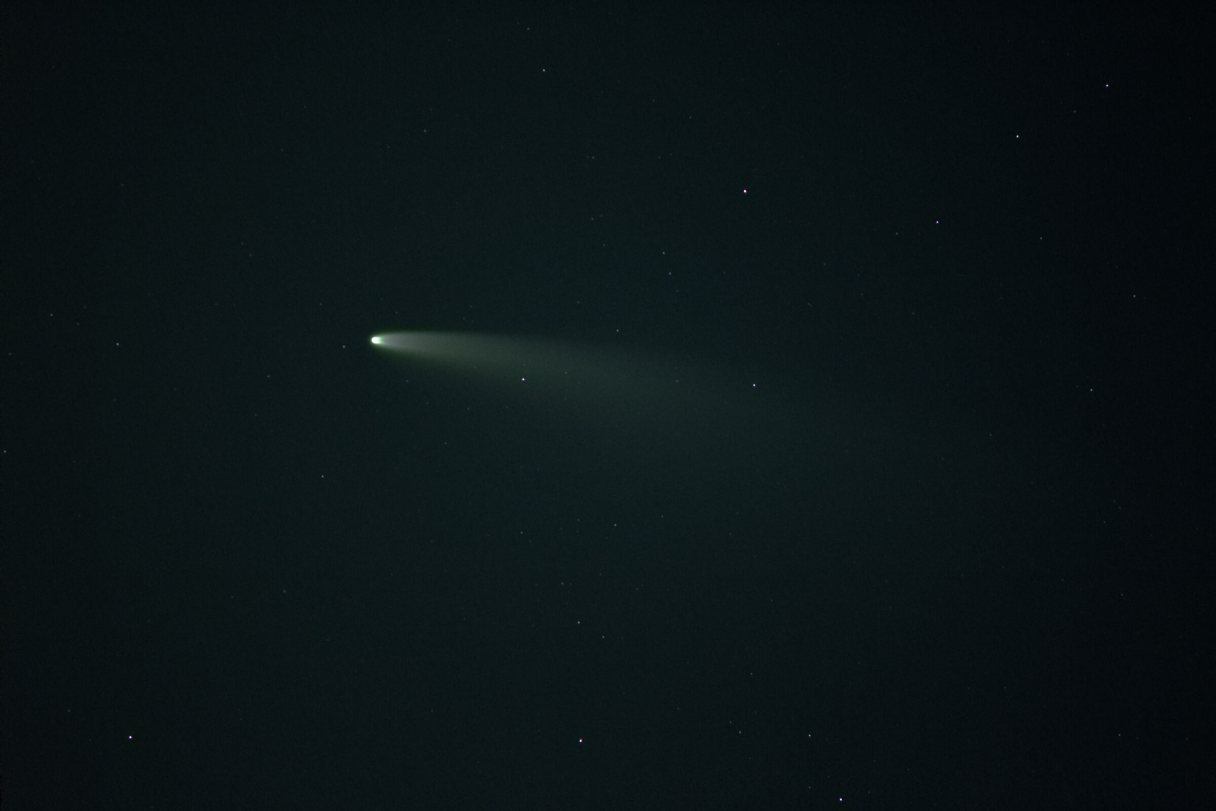 cometa neowise