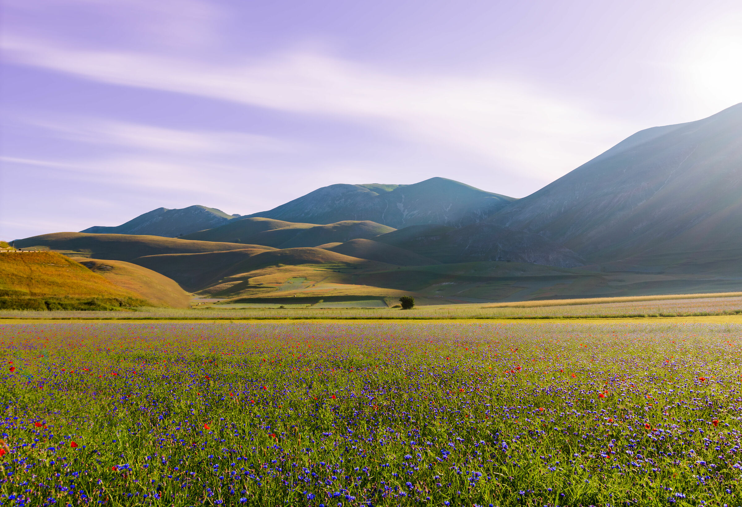 castelluccio 2