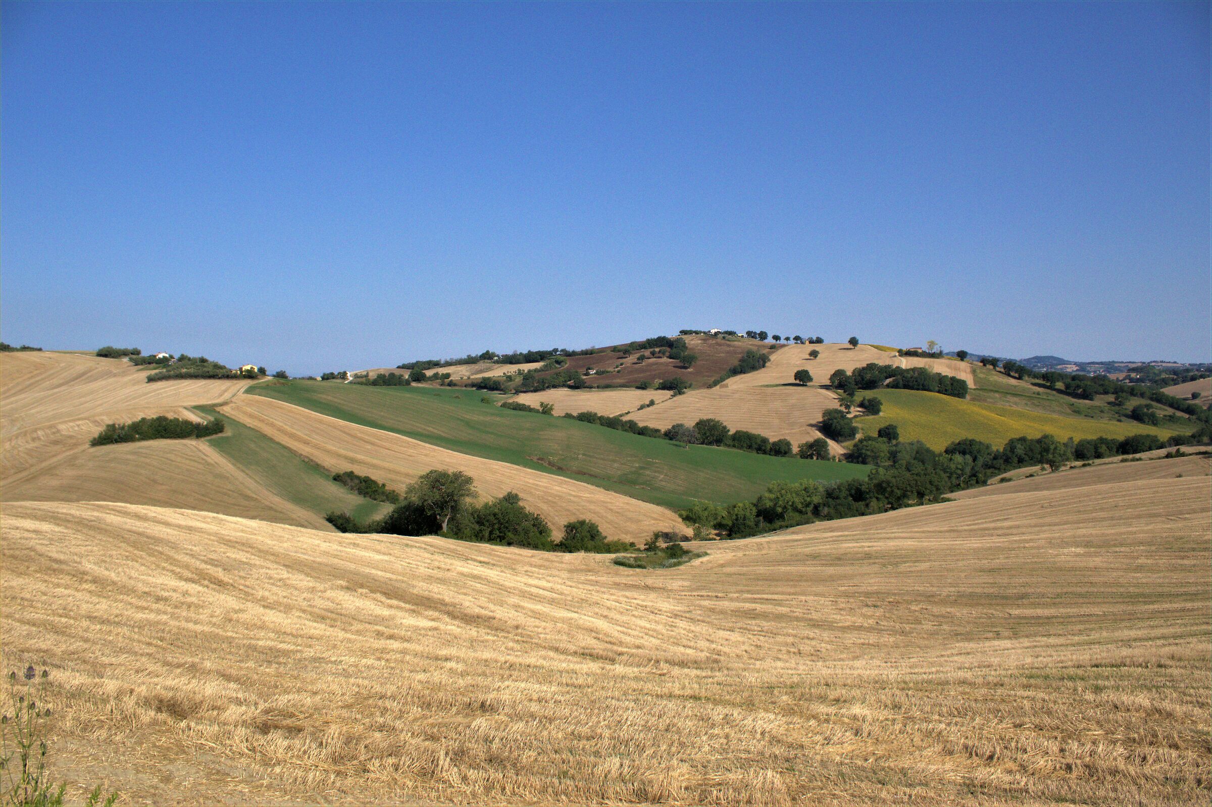 paesaggio colorato