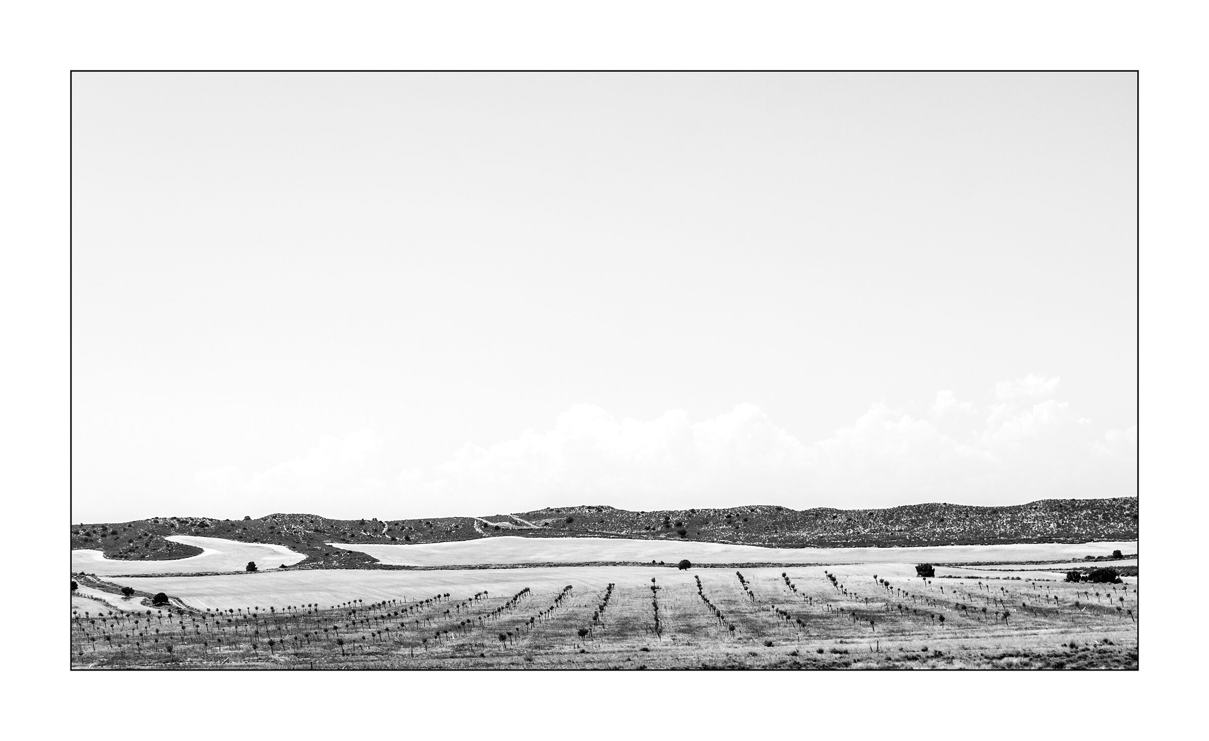 Untitled Photo