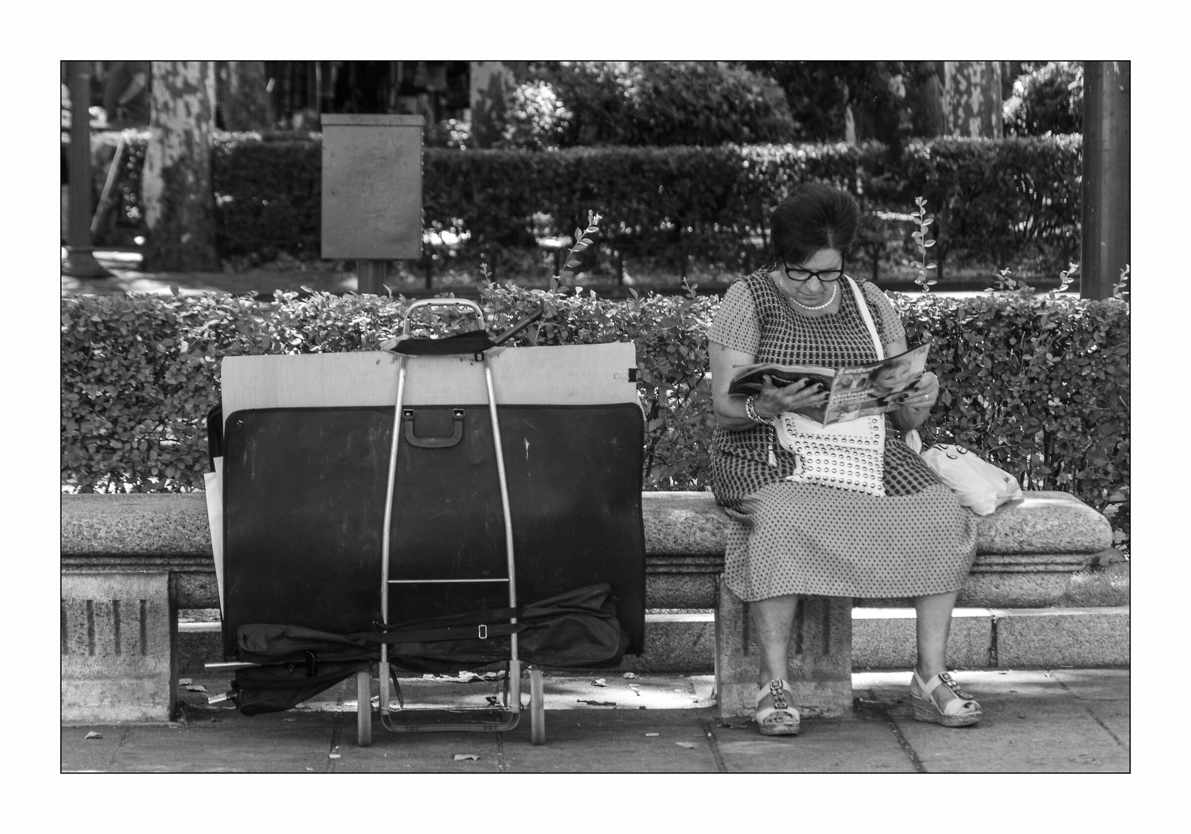 the cardboard suitcase