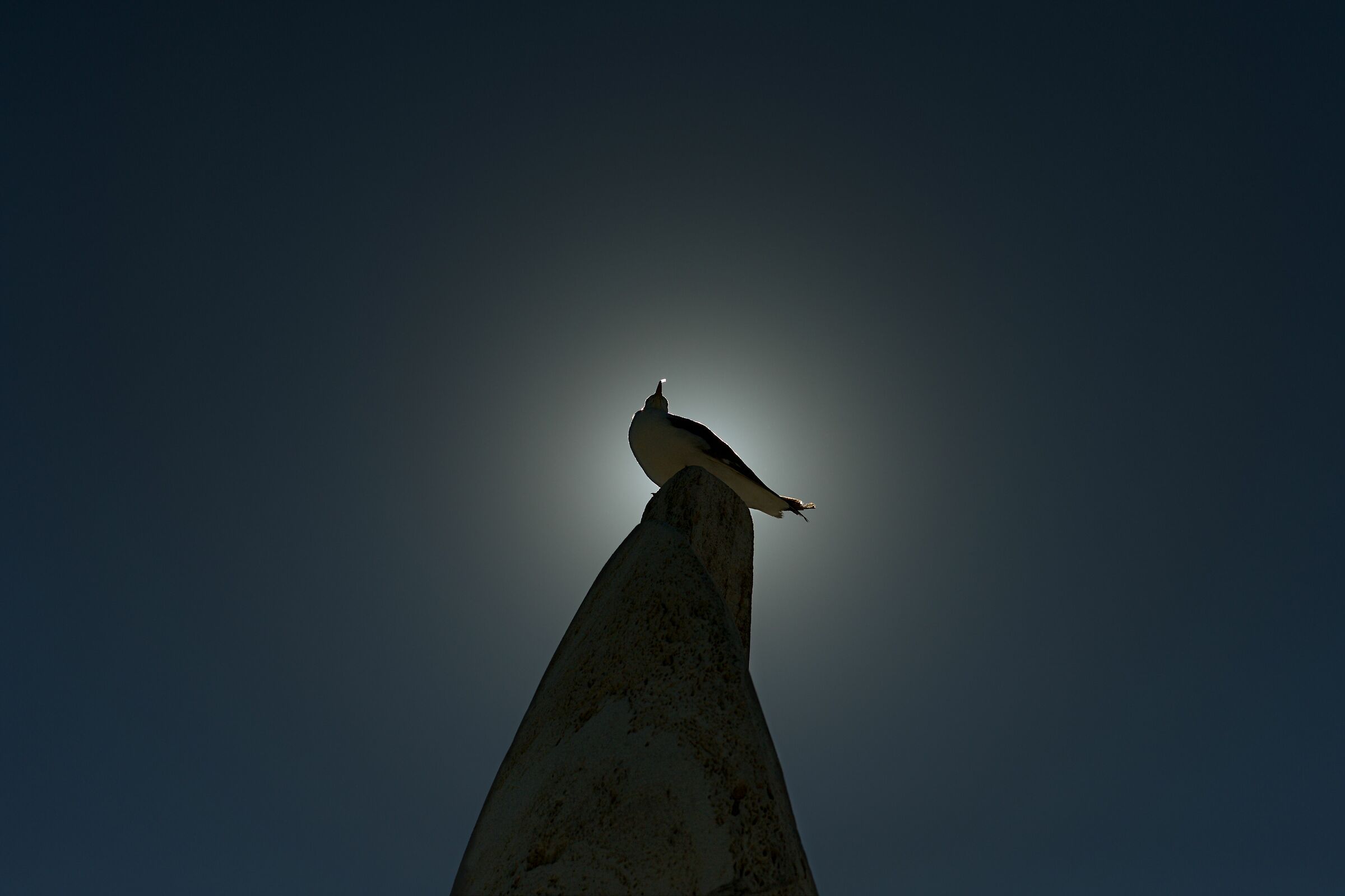 Horus