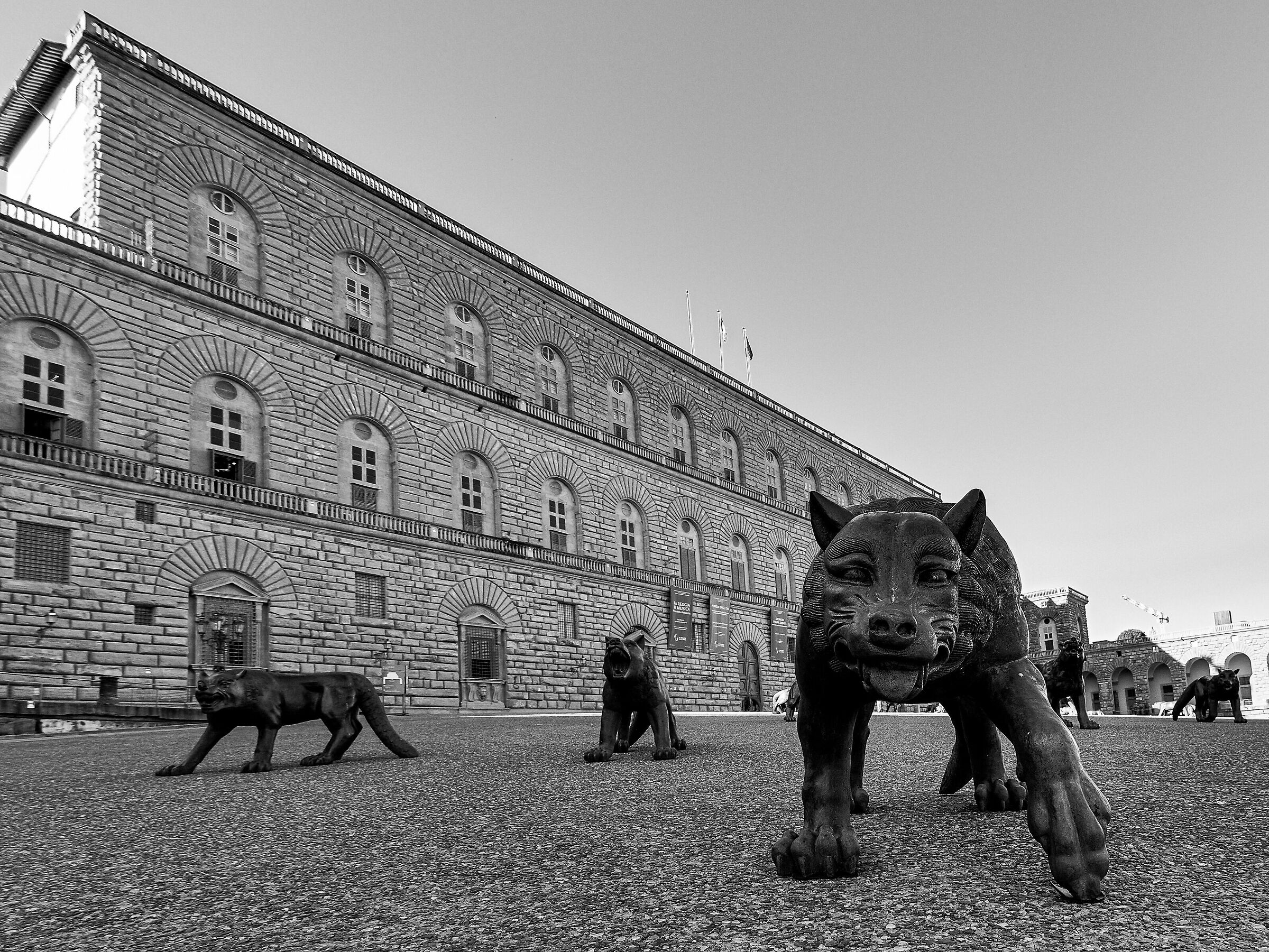 "Lupi in arrivo" -Liu Rowang