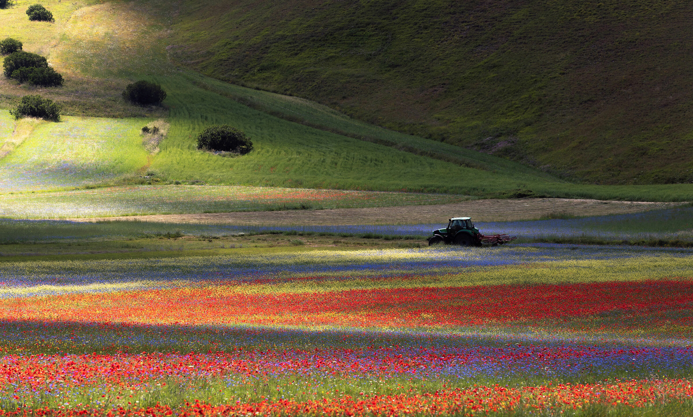 50 sfumature di Castelluccio