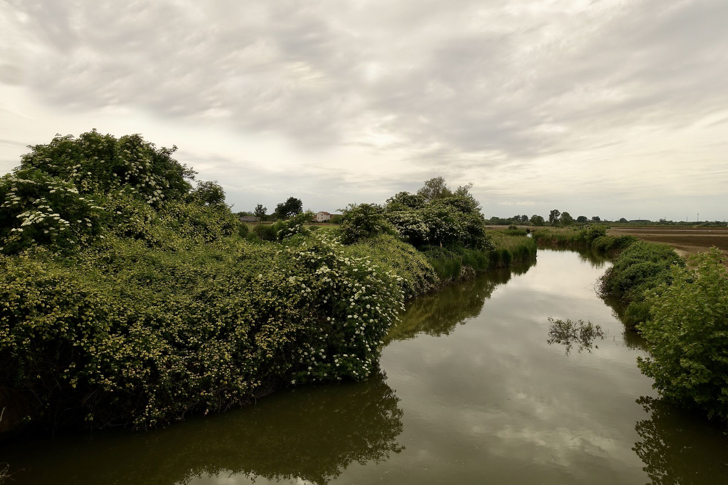 Vercellese. Torrente Bona.