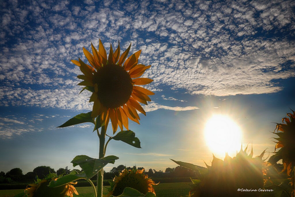 Waiting for the sunset...