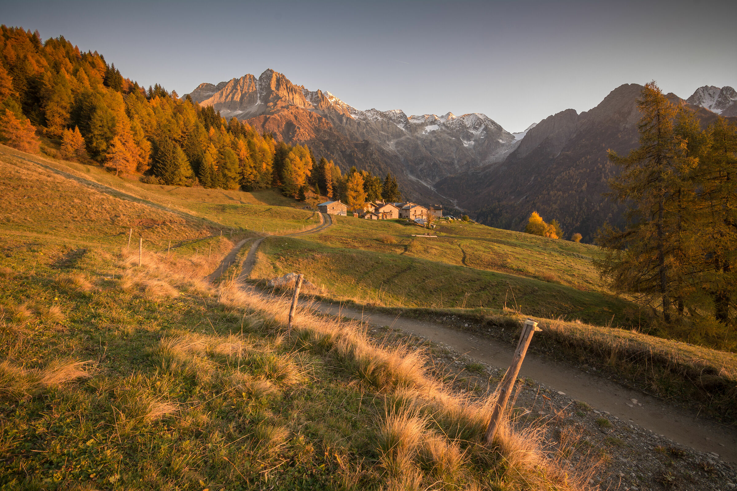 Autumn in Vescasa - Wooden Bridge
