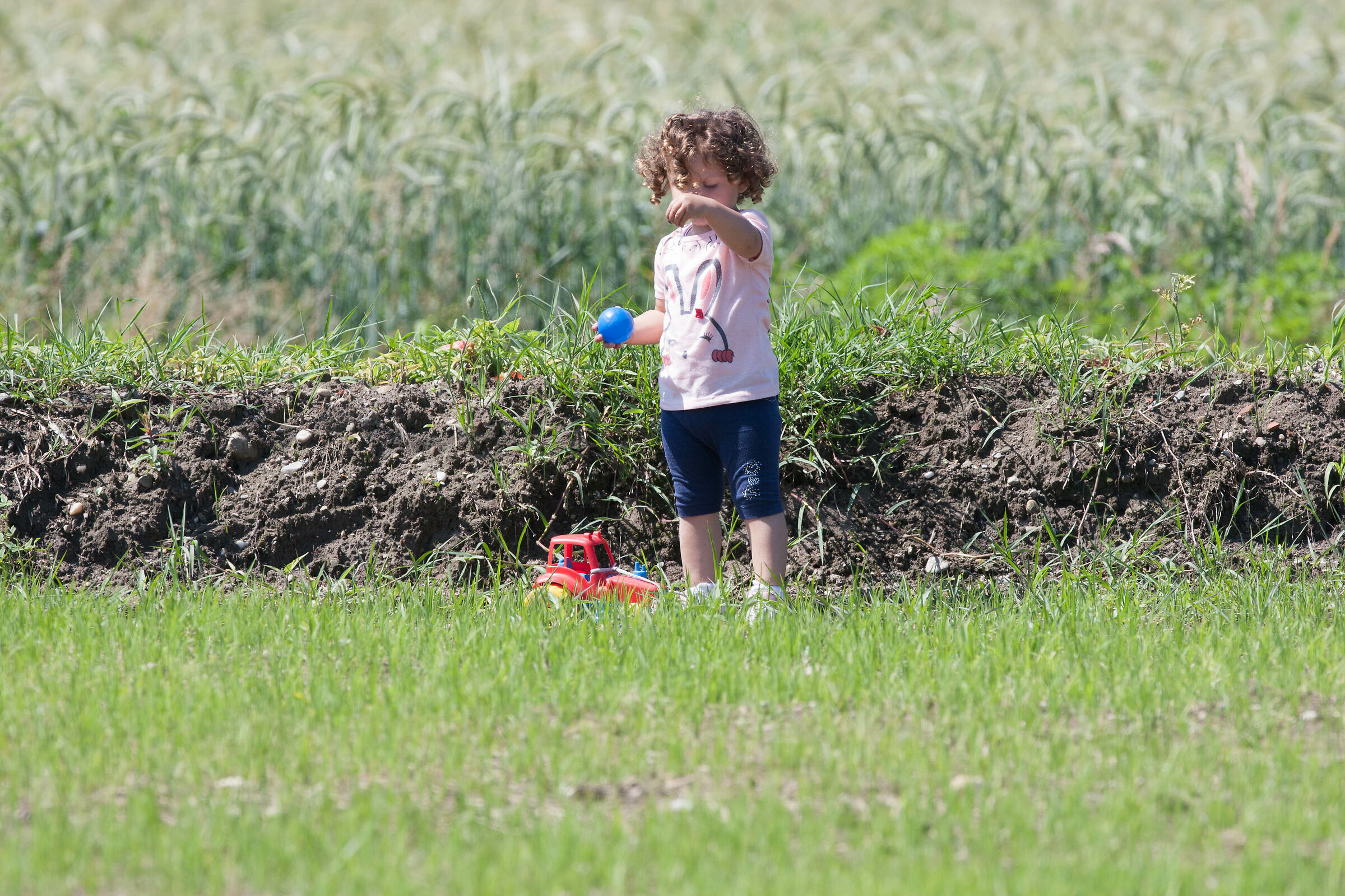 GRAND DO YOU HIRE ME