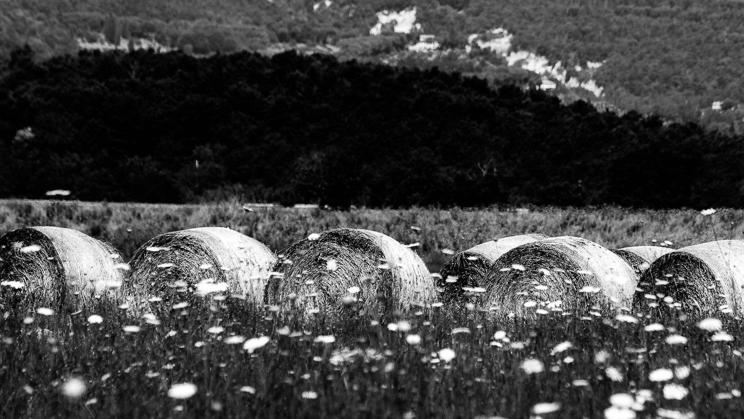 low chiana valley in the sun