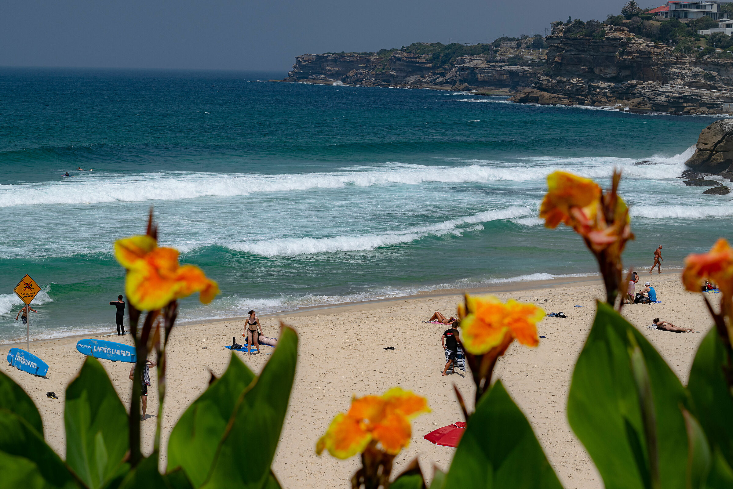 Bronte Beach