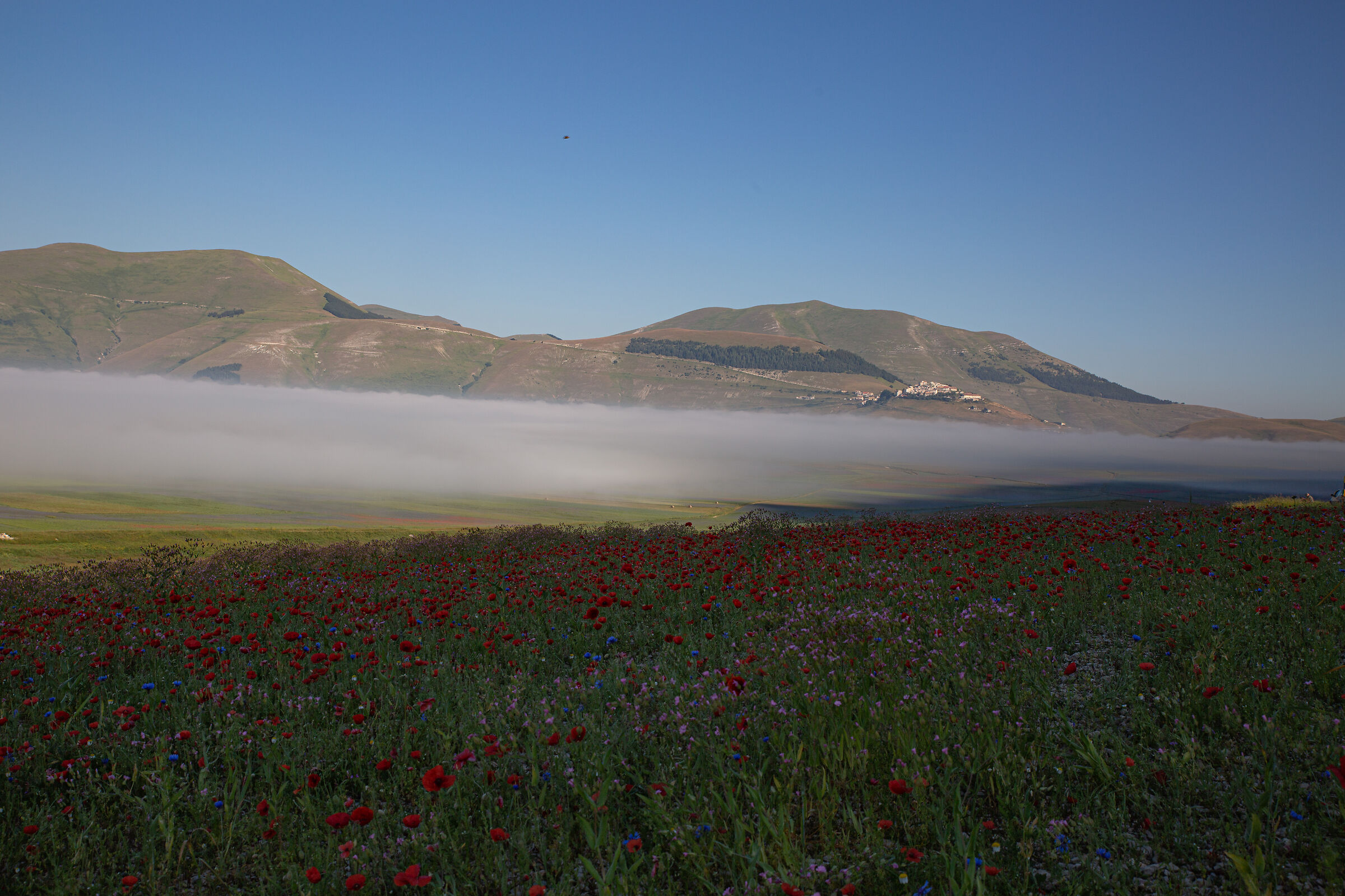 Castelluccio di Norcia