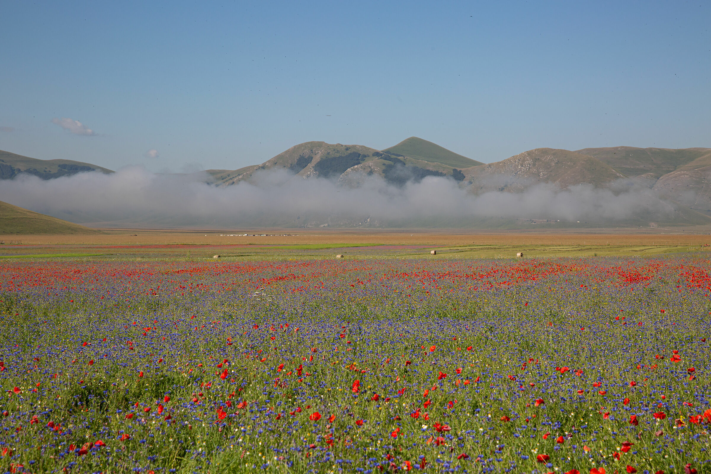 Castelluccio di Norcia