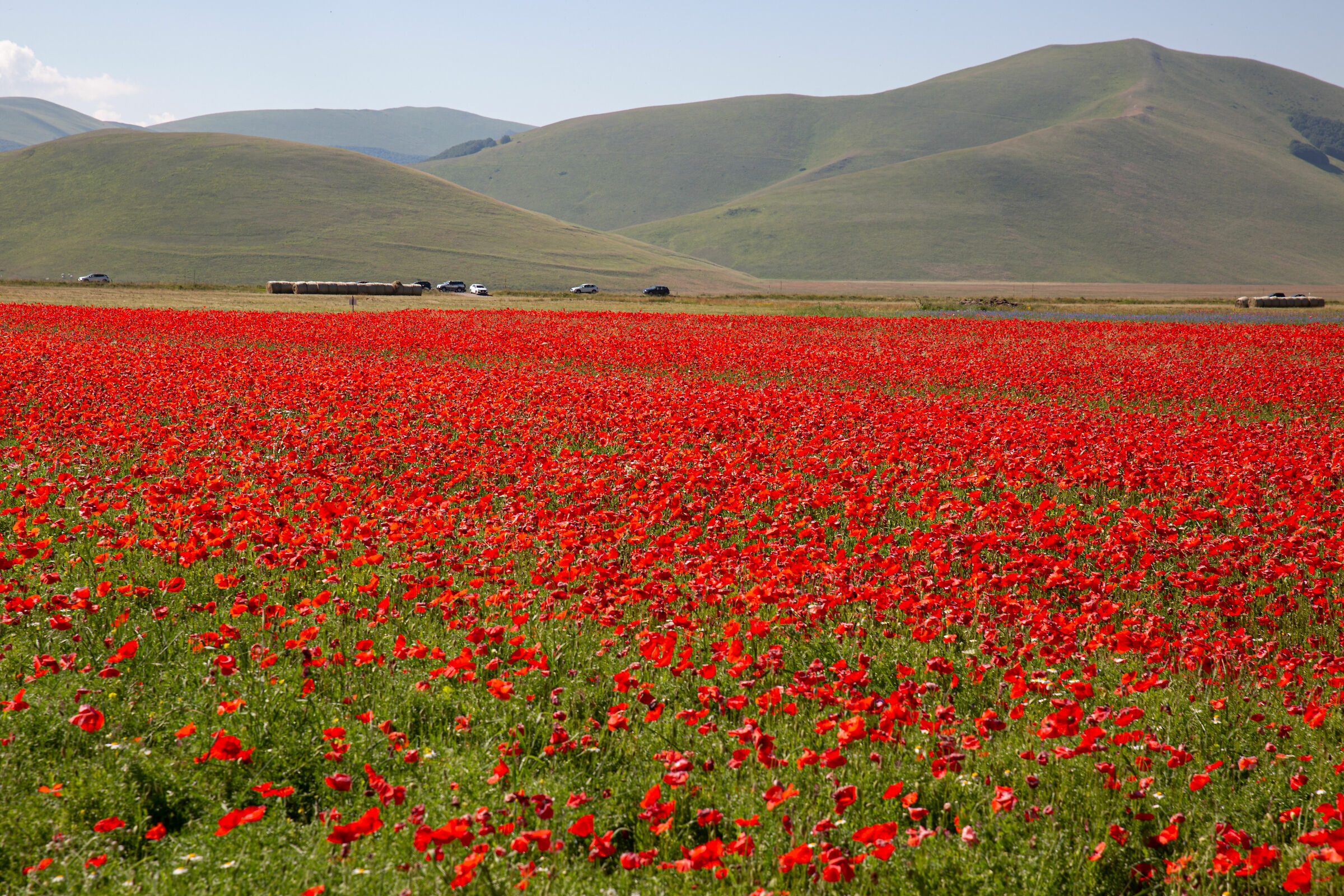 Castelluccio di Norcia