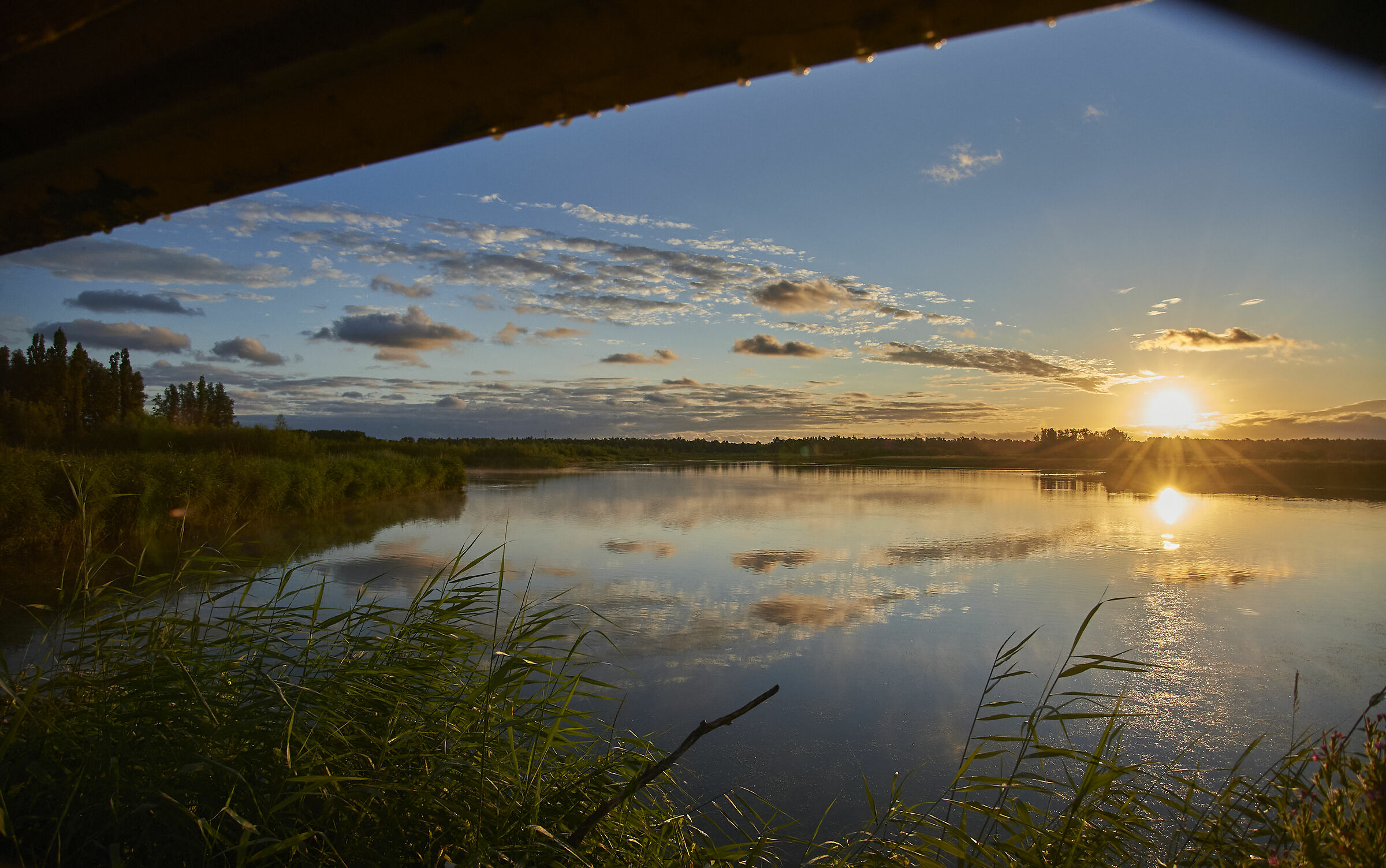 La vista del mattino di un fotografo di uccelli